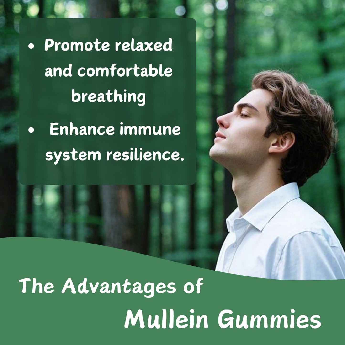 Organic Mango Flavored Mullein Gummies for Lung Health | Vegetarian Mullein Supplements for Immune Support | Non-Sticky Mullein Leaf Extract Gummies - 2 Pack