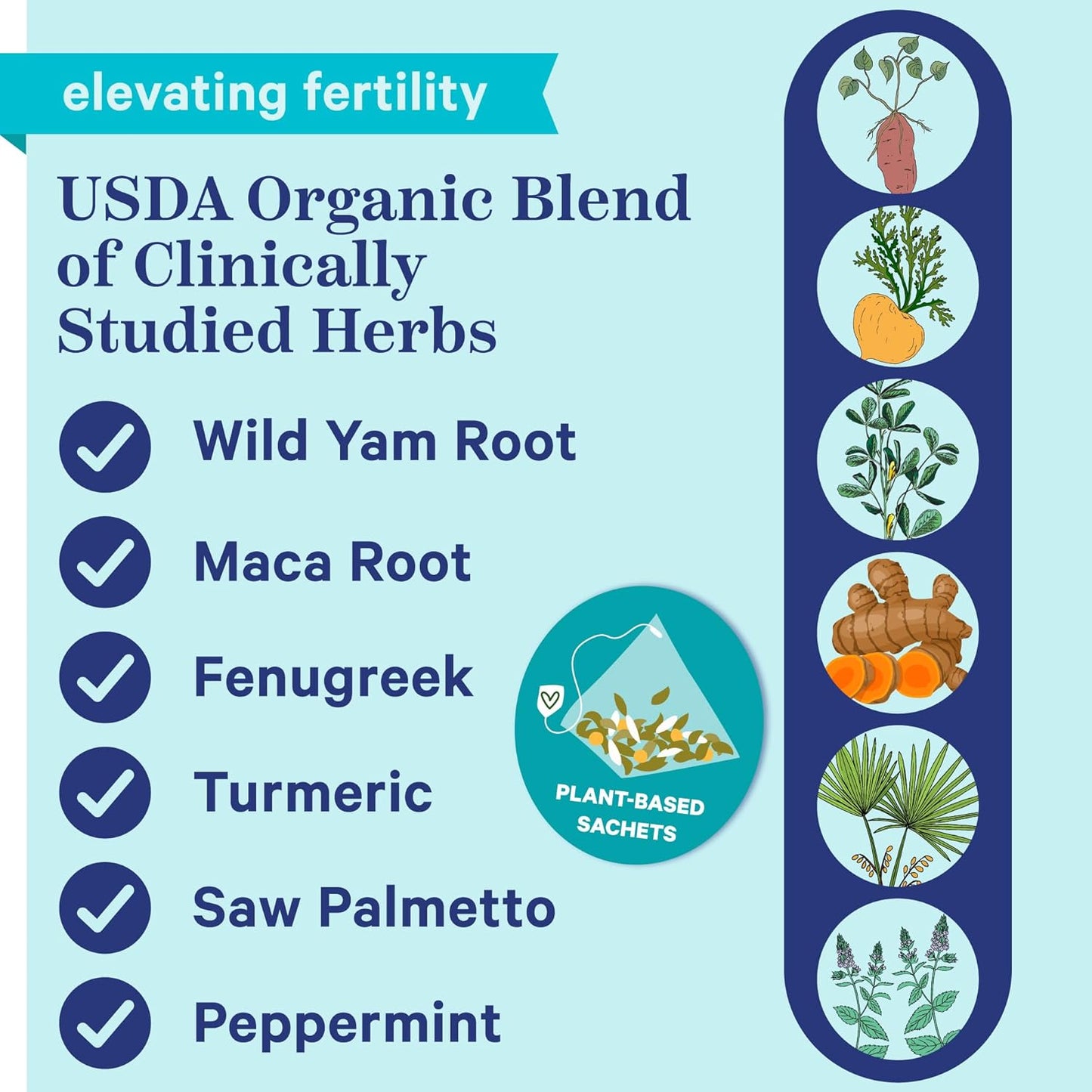 Organic Men's Fertility Tea with Green Tea, Maca Root, and Ginkgo Biloba - Mint Flavored, 15 Sachets