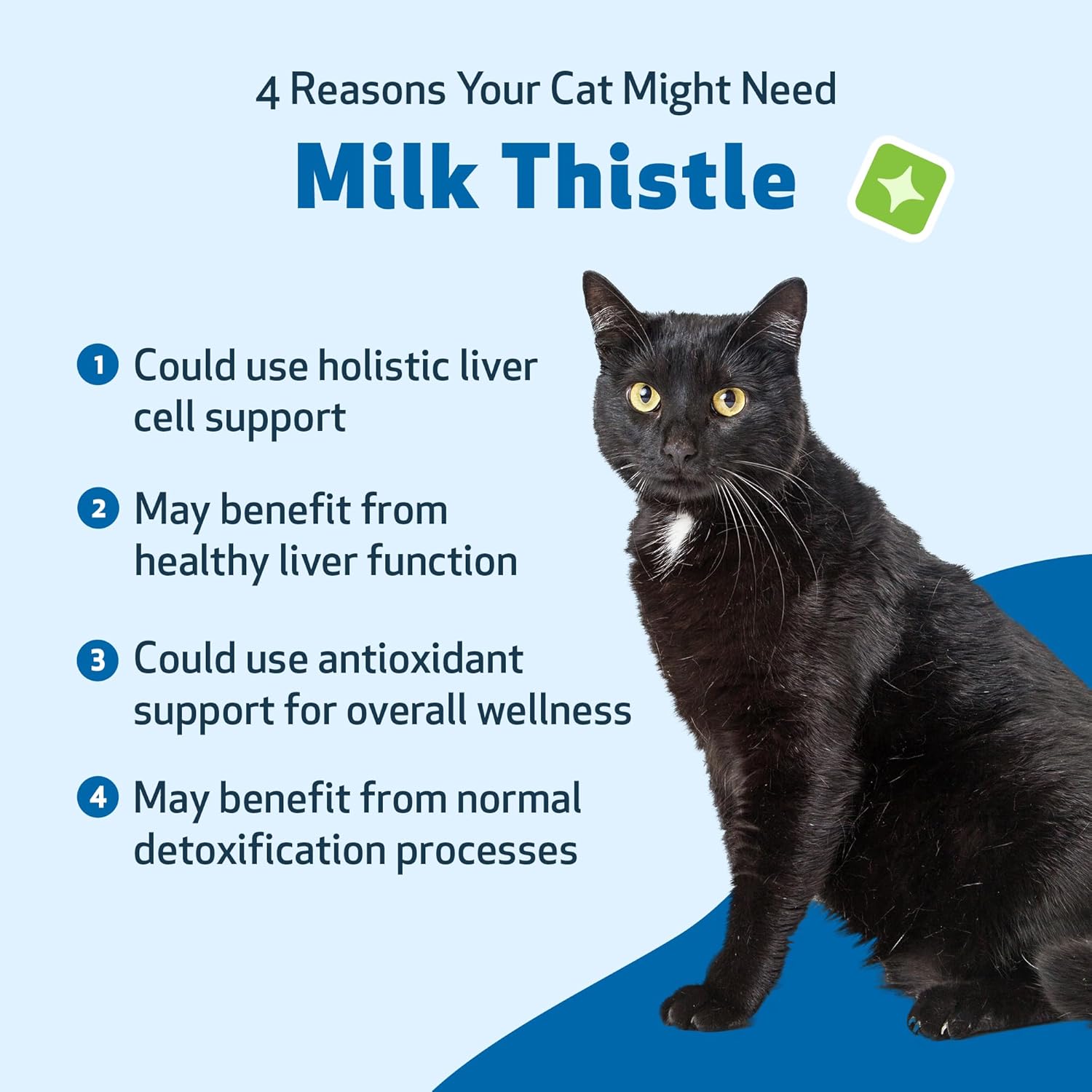 Organic Milk Thistle for Cats - Supports Liver Health, Detoxification, Antioxidants - Herbal Supplement for Liver Cell Support - 2 fl oz
