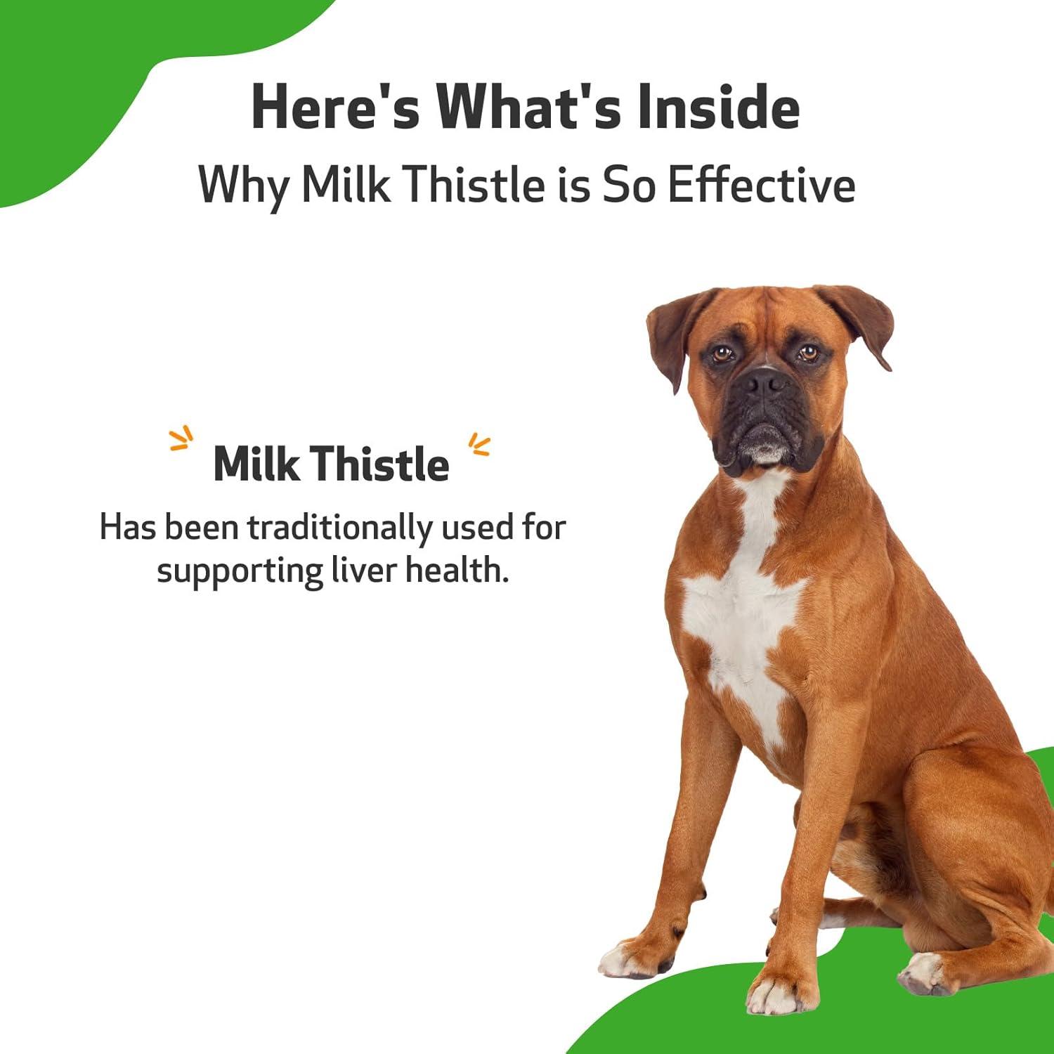 Organic Milk Thistle for Dogs - Supports Liver Health and Detoxification - Herbal Supplement 2 oz