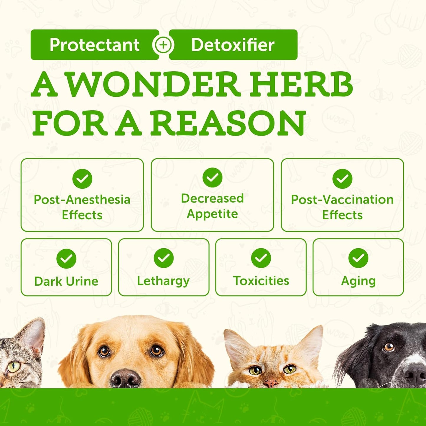 Organic Milk Thistle Liver Support Supplement for Dogs & Cats - Herbal Extract Drops for Liver Health - 1 FL Oz