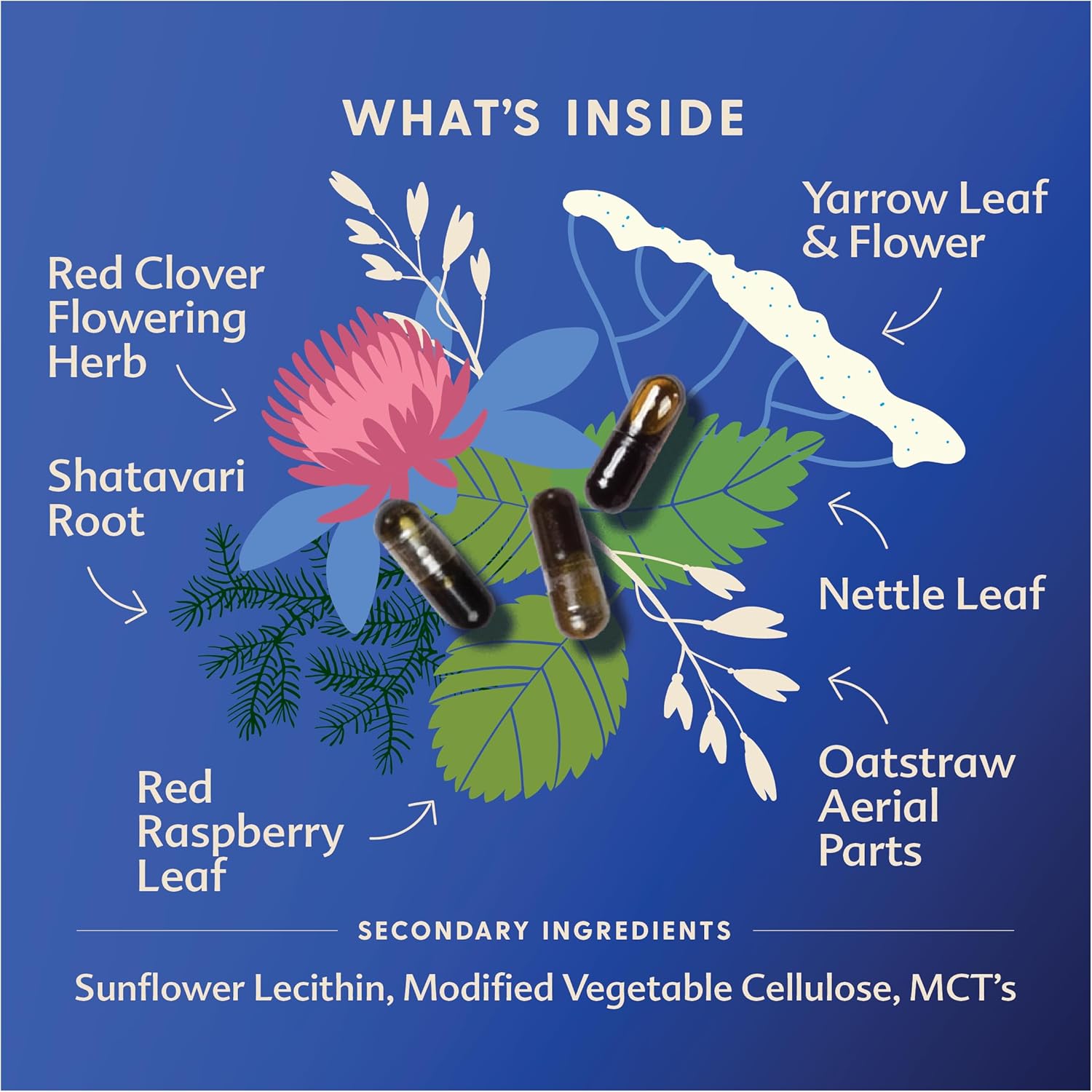 Organic Motherlove Balancing Blend Herbal Supplement for Hormonal Health - 60 Liquid Caps - Non-GMO, Vegan, Kosher - Menstrual & Postpartum Support