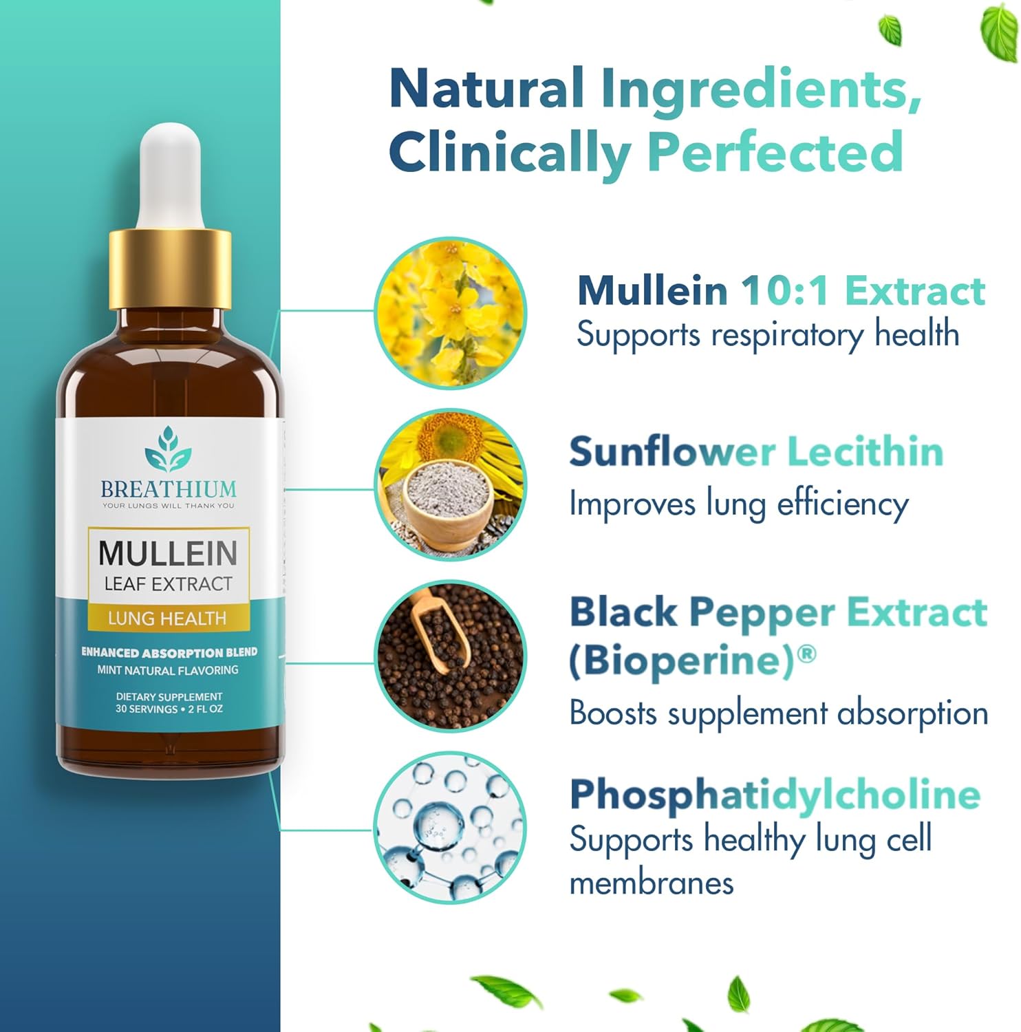 Organic Mullein Drops for Rapid Mucus & Sore Throat Relief - Liposomal Extract for Healthy Breathing - Sunflower Lecithin & Peppermint Tea - Made in USA