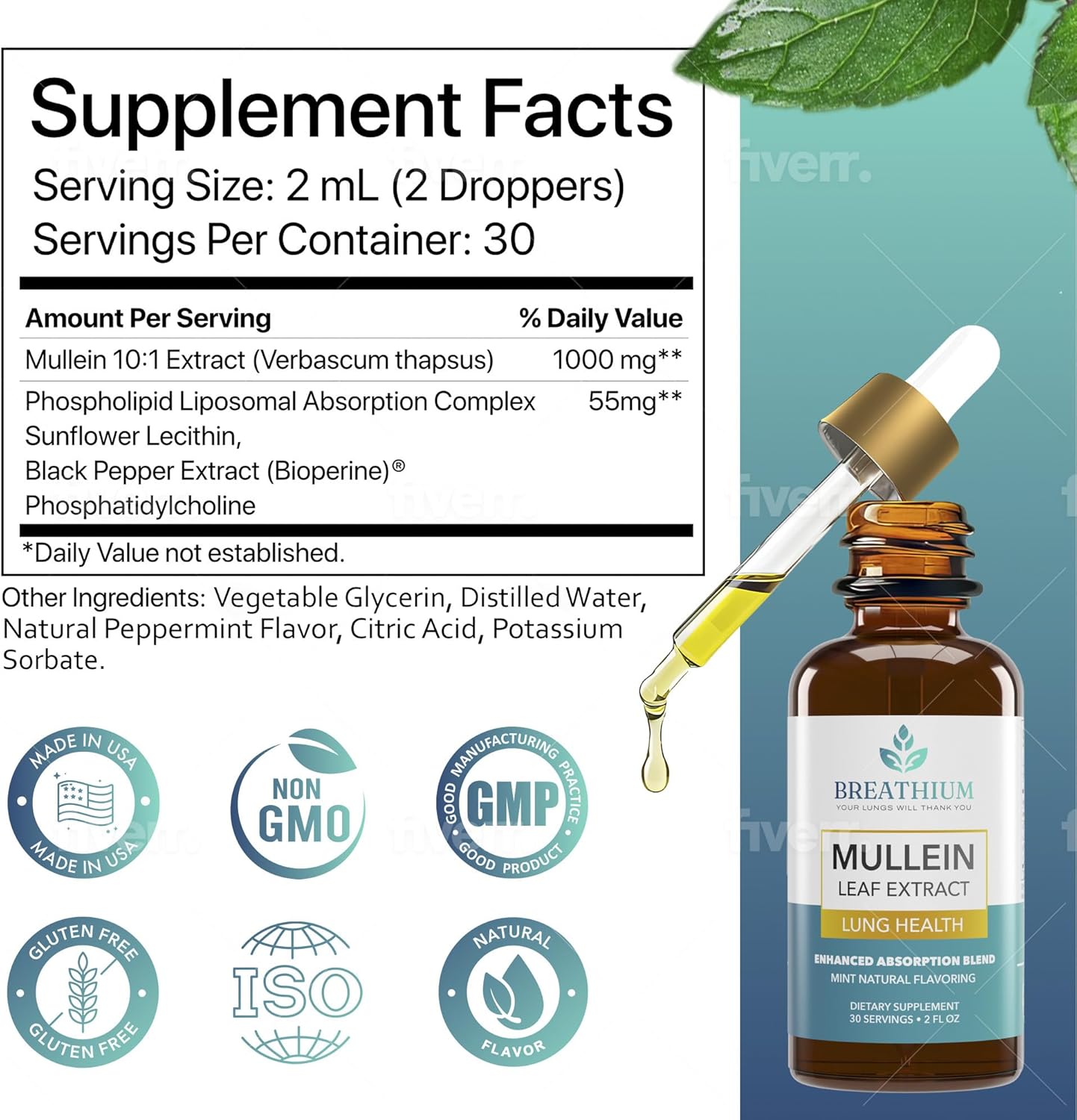 Organic Mullein Drops for Rapid Mucus & Sore Throat Relief - Liposomal Extract for Healthy Breathing - Sunflower Lecithin & Peppermint Tea - Made in USA