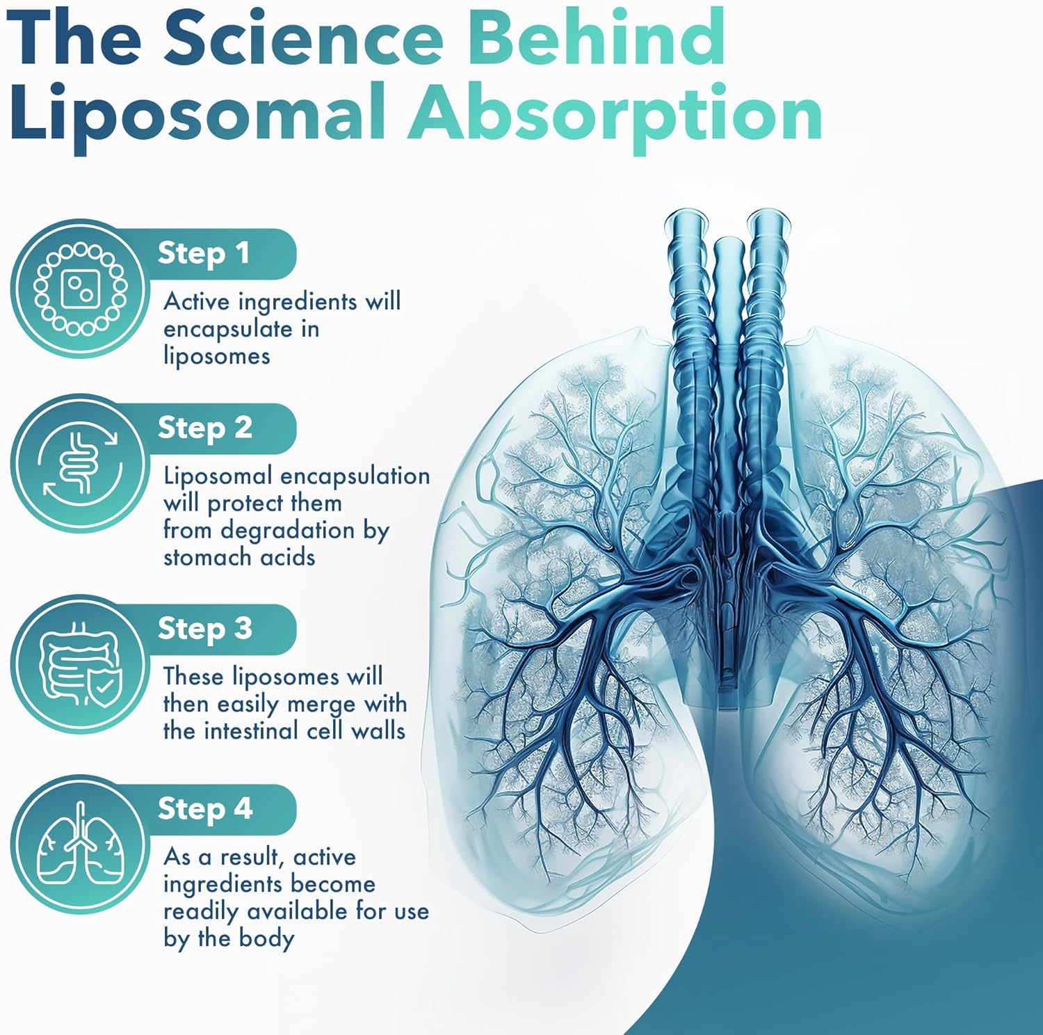 Organic Mullein Drops for Rapid Mucus & Sore Throat Relief - Liposomal Extract for Healthy Breathing - Sunflower Lecithin & Peppermint Tea - Made in USA