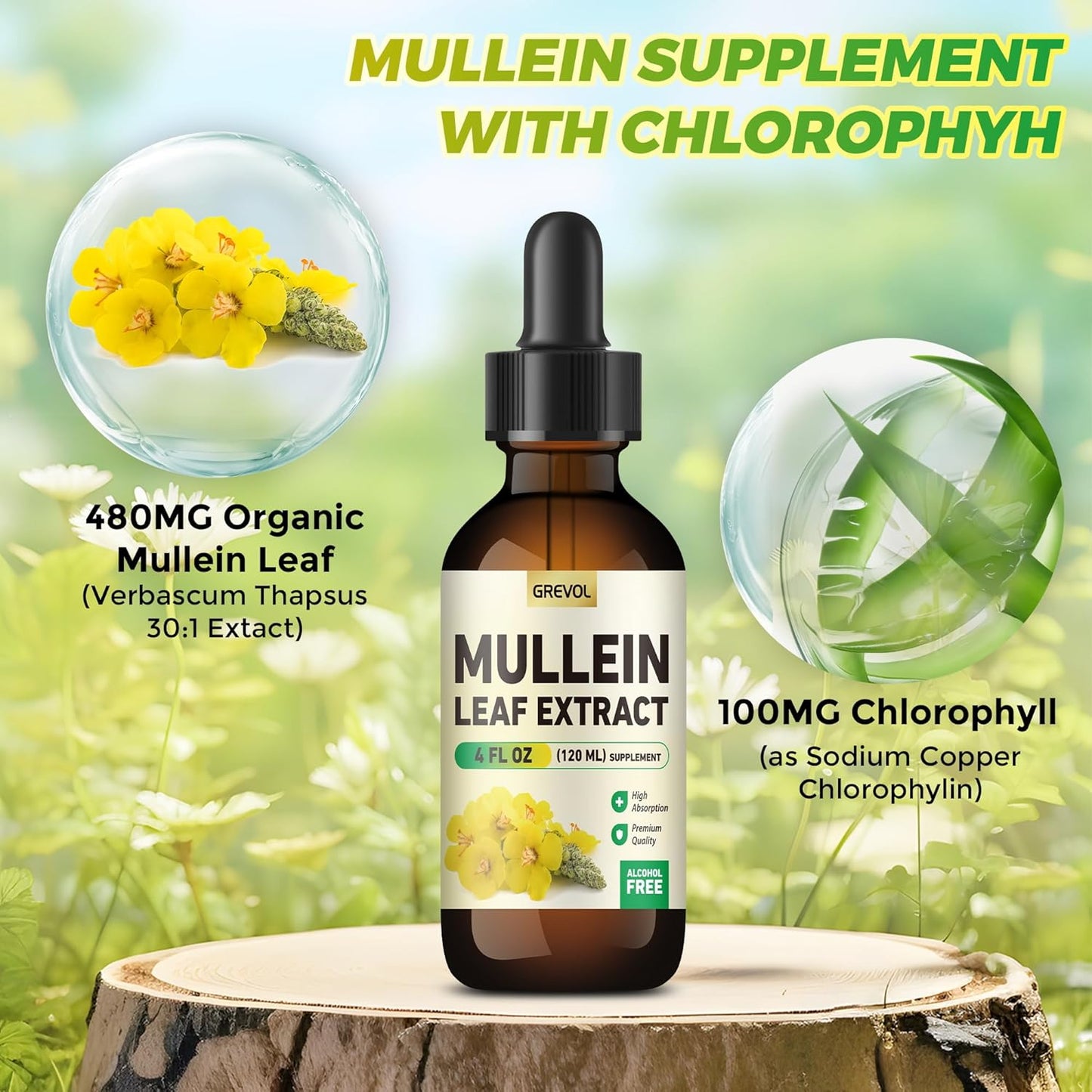 Organic Mullein Drops with Chlorophyll for Lung Health - 4 Fl Oz Vegan Tincture for Respiratory & Immune Support