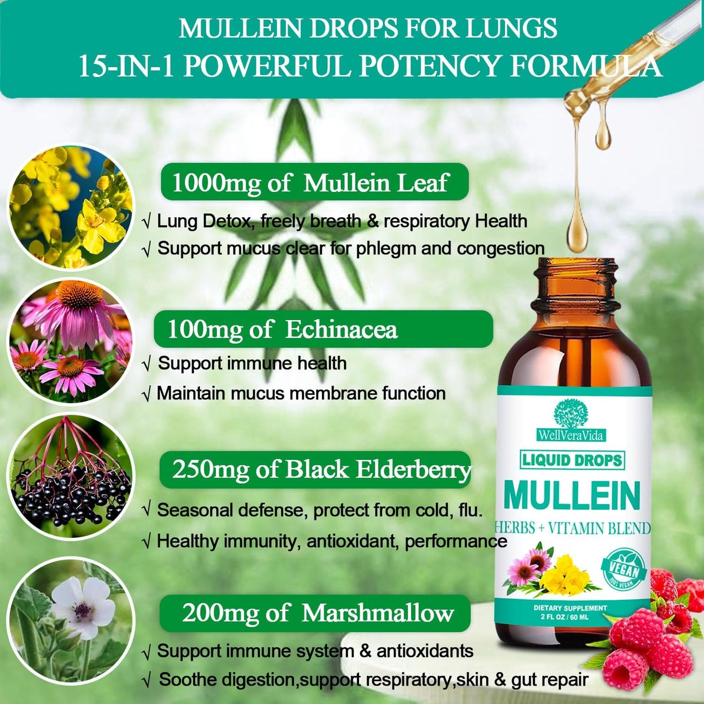 Organic Mullein Leaf Extract Drops with Elderberry and Echinacea - Alcohol Free Lung Support Tincture for Smokers, Sinus Relief, and Respiratory Health