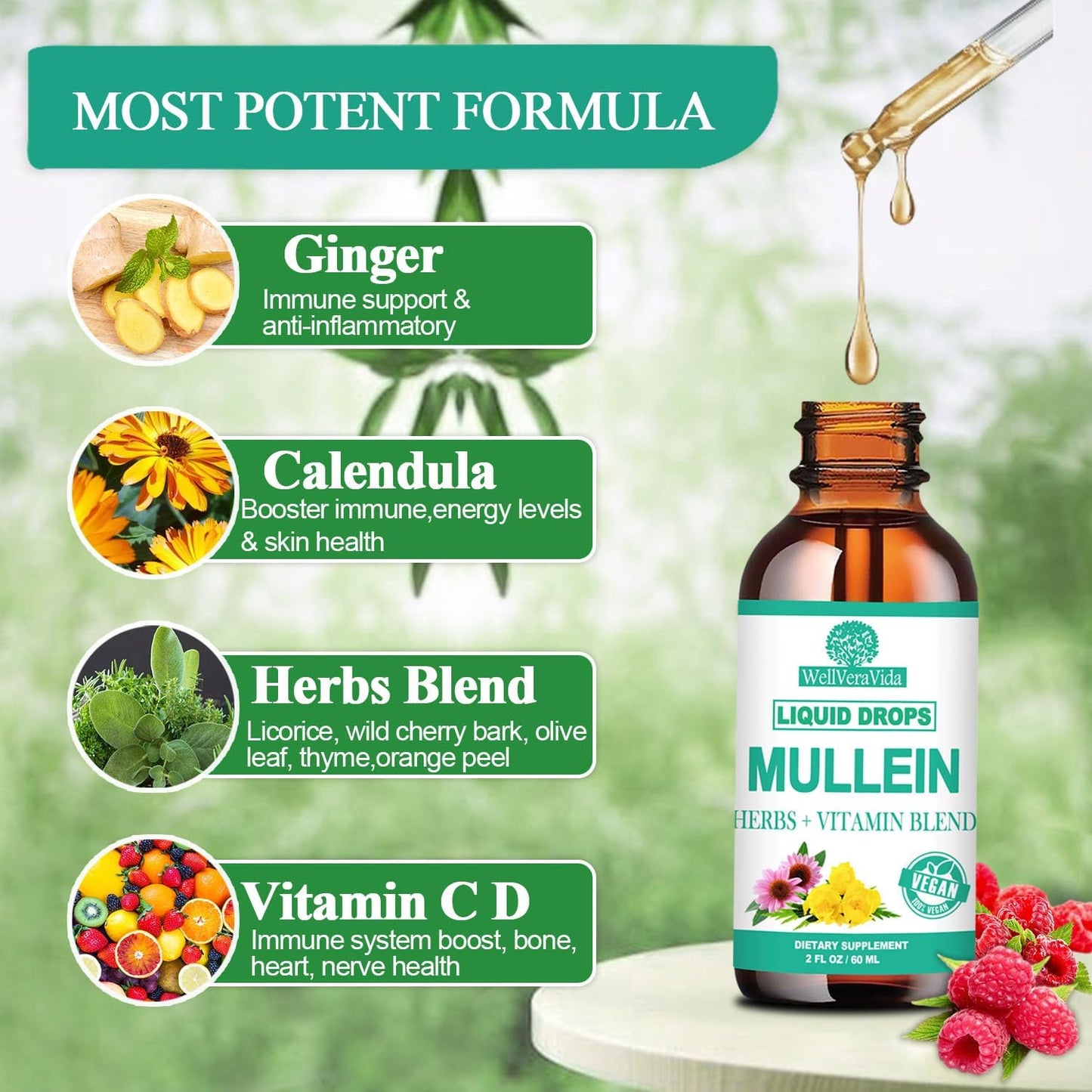 Organic Mullein Leaf Extract Drops with Elderberry and Echinacea - Alcohol Free Lung Support Tincture for Smokers, Sinus Relief, and Respiratory Health