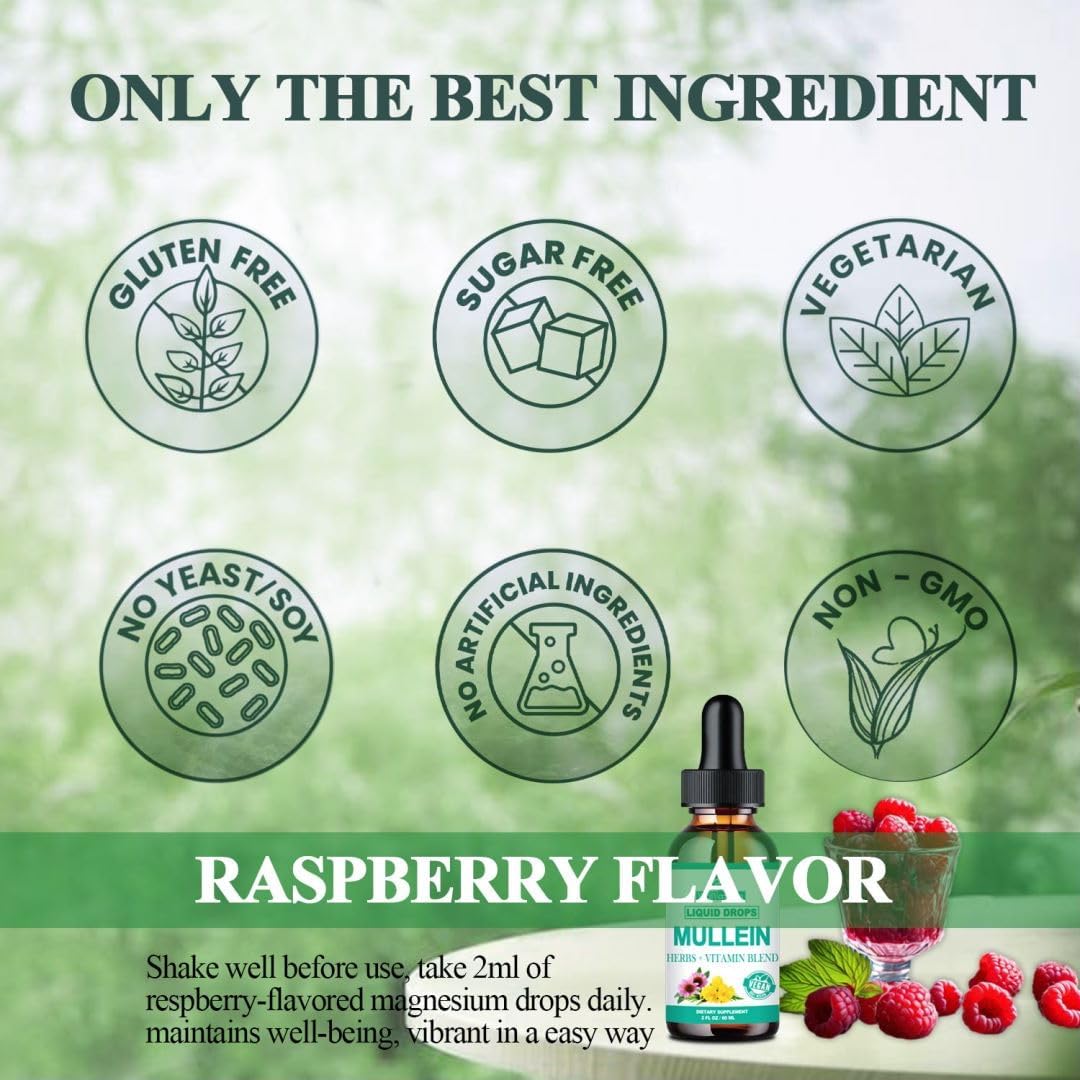 Organic Mullein Leaf Extract Drops with Elderberry and Echinacea - Alcohol Free Lung Support Tincture for Smokers, Sinus Relief, and Respiratory Health