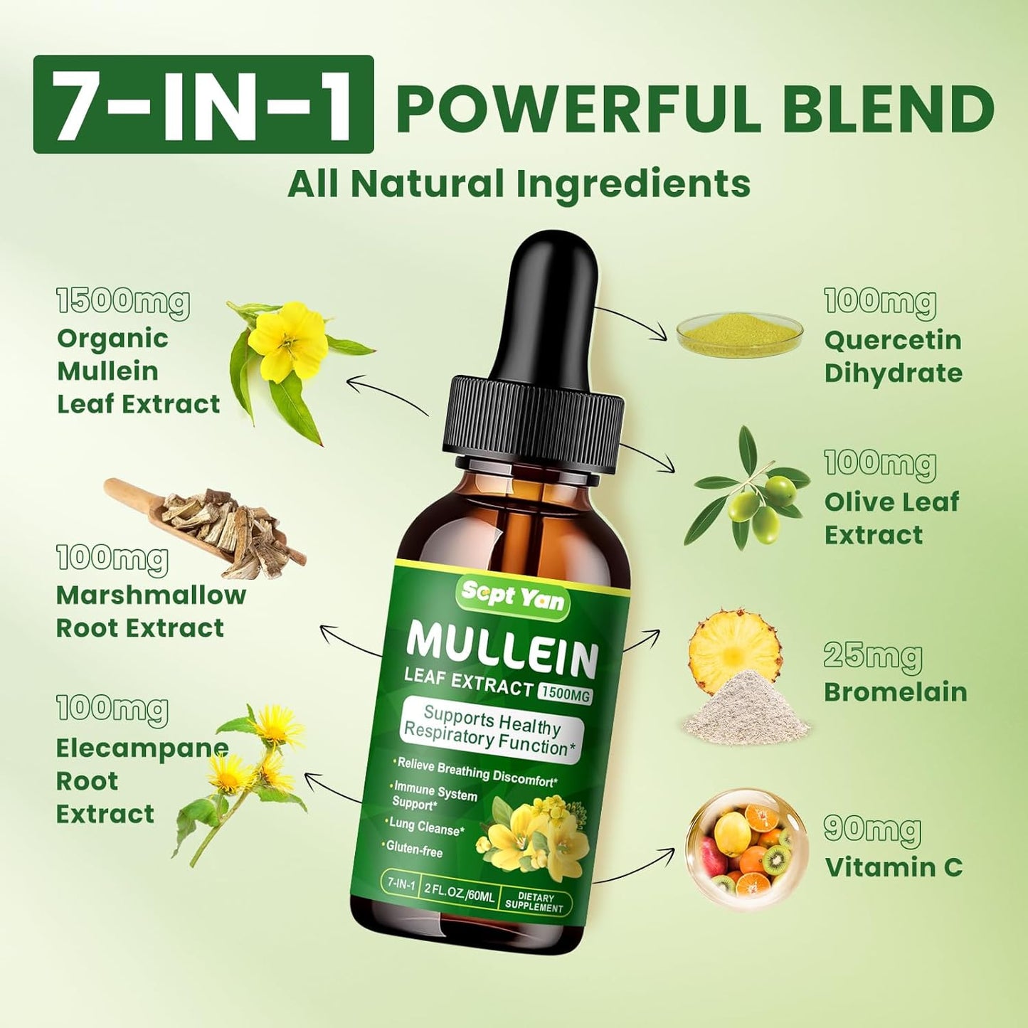 Organic Mullein Leaf Extract Liquid for Lung Health - 1500mg Herbal Supplement for Detox & Respiratory Support - Vegan, 2 Fl Oz