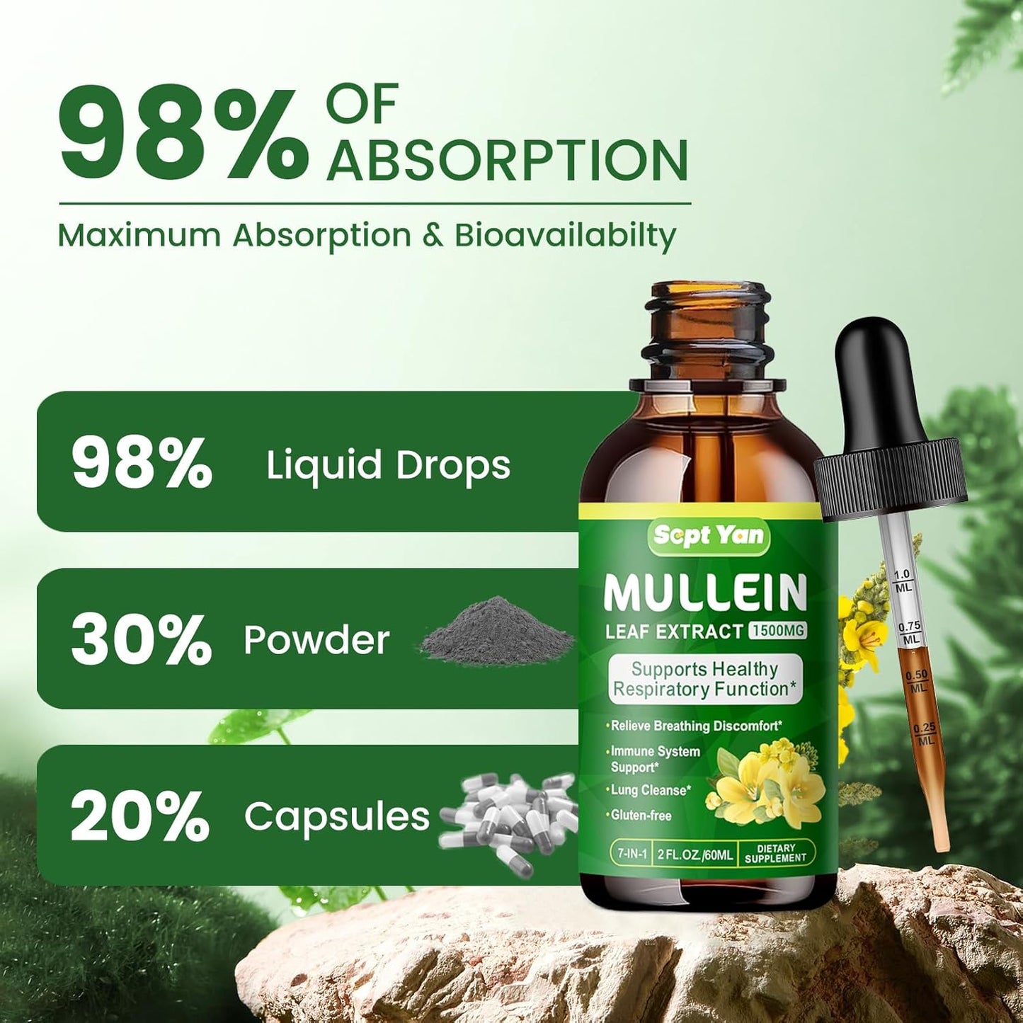 Organic Mullein Leaf Extract Liquid for Lung Health - 1500mg Herbal Supplement for Detox & Respiratory Support - Vegan, 2 Fl Oz