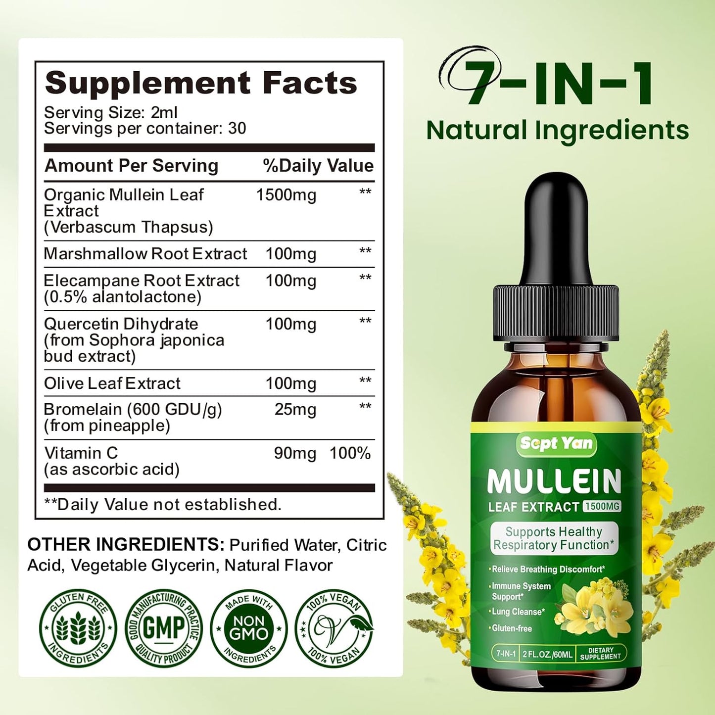 Organic Mullein Leaf Extract Liquid for Lung Health - 1500mg Herbal Supplement for Detox & Respiratory Support - Vegan, 2 Fl Oz