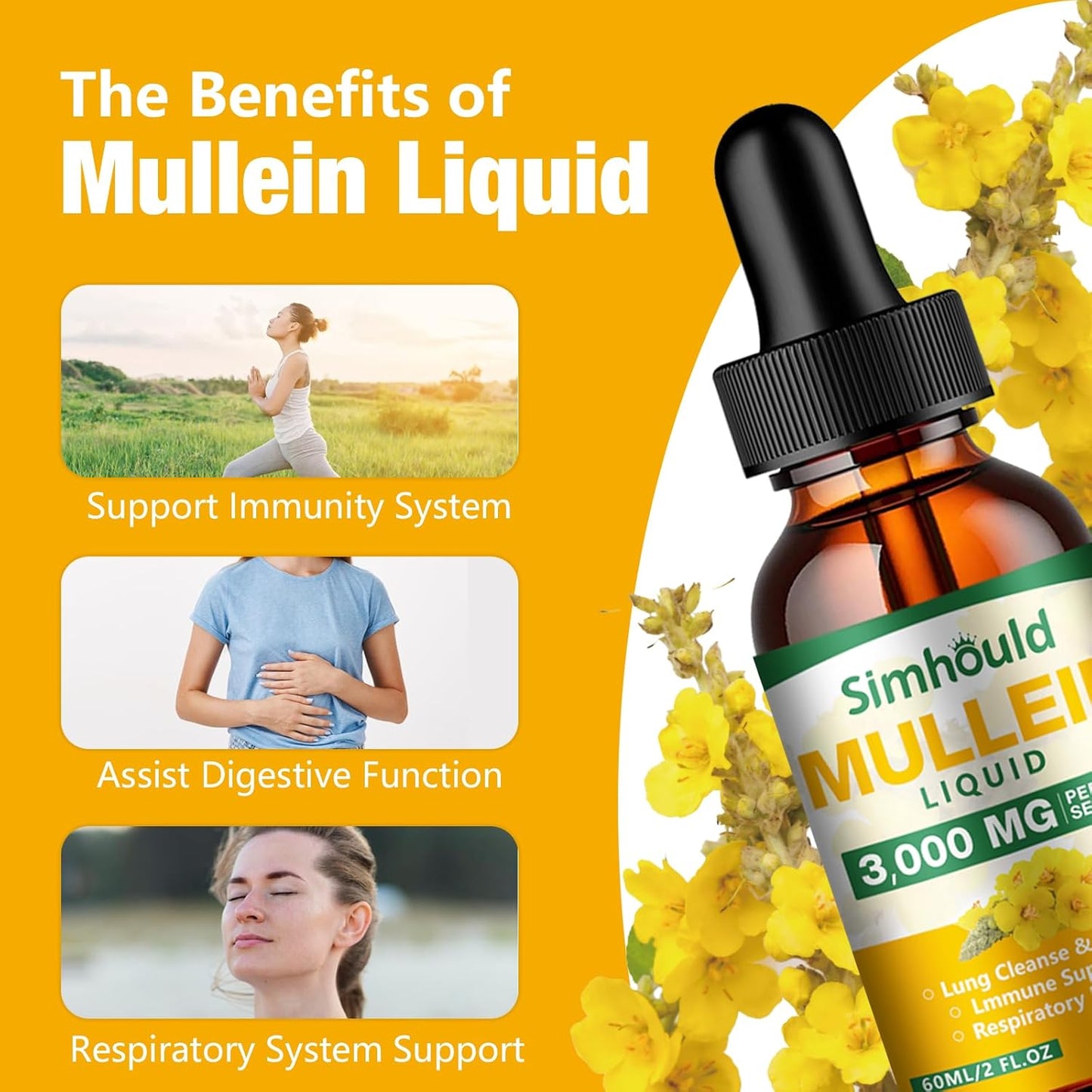 Organic Mullein Leaf Tincture 2 Pack - 3000mg Lung Detox & Respiratory Health - Natural Supplement for Immune Boost & Digestive Support - 4 oz Vegan Formula