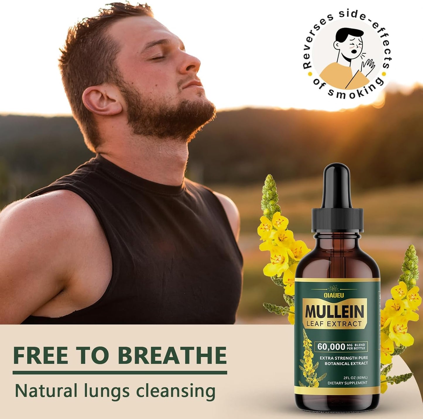 Organic Mullein Leaf Tincture for Lung Cleanse & Respiratory Health - 2 fl oz Vegan Liquid Extract for Lung Detox - Natural Supplement