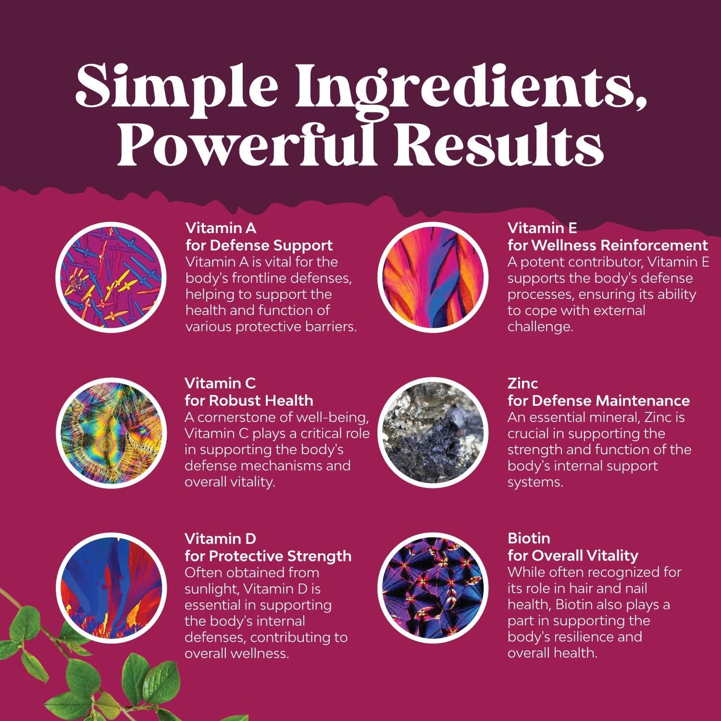 Organic Multivitamin Gummies for Women and Men with Zinc & B Complex - Vegan Daily Wellness Supplement for Energy and Immunity - Non-GMO Vegan Multivitamin - 1 Month Supply