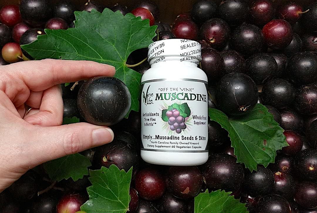 Organic Muscadine Grape Seed & Skin Capsules - 60 Count - High Antioxidant Superfood - 1300mg Per Serving - Resveratrol Supplement