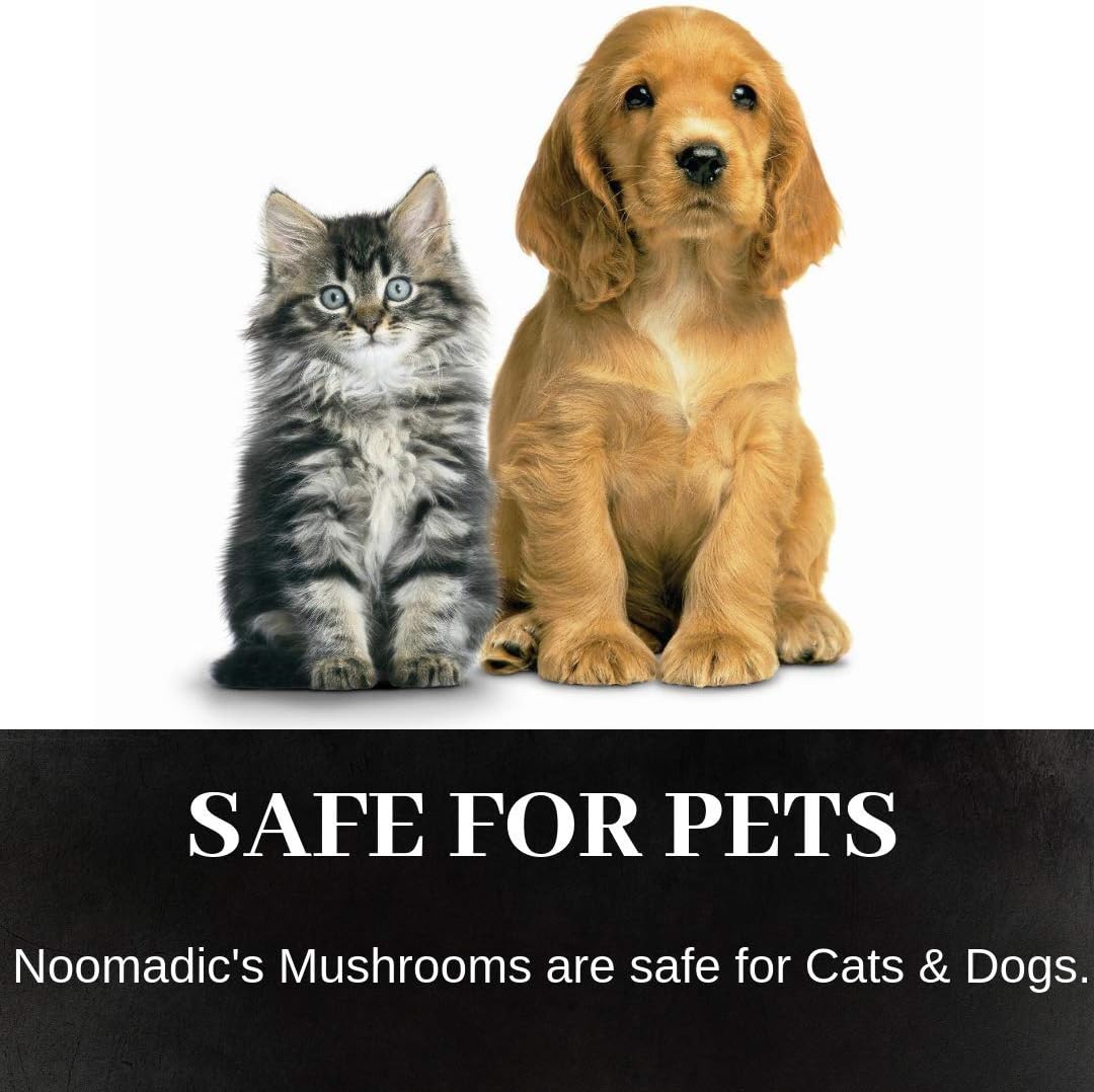 Organic Mushroom Complex Capsules - Lions Mane, Turkey Tail, Chaga, Reishi, Cordyceps - 30% Beta Glucans - 60 Count, 500mg