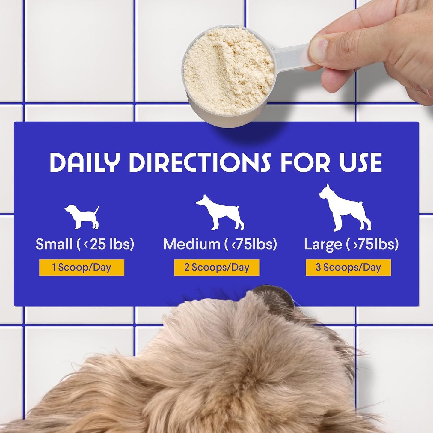 Organic Mushroom Complex Powder for Dogs - Immune Support, Cognition, Cellular Health - Turkey Tail, Reishi, Lions Mane - 90 Scoops