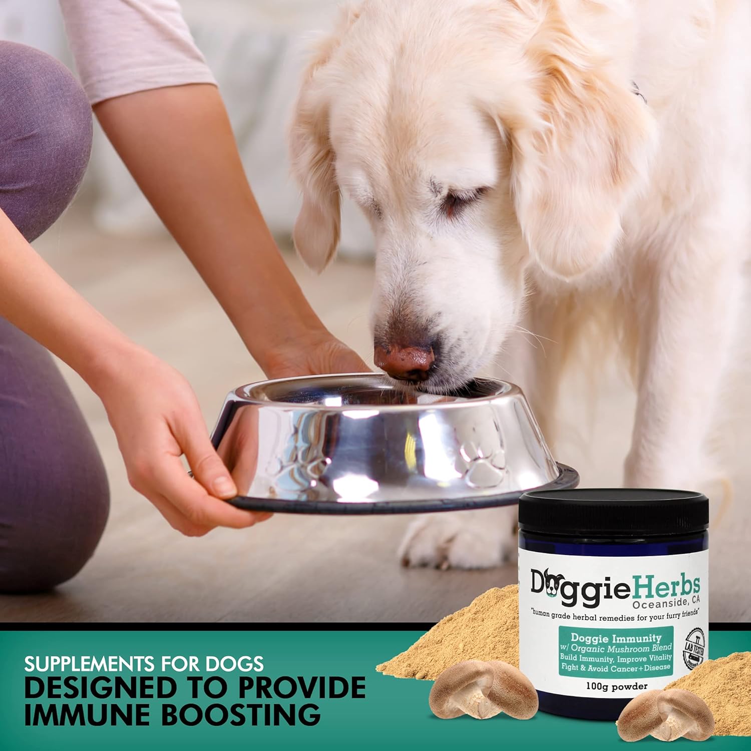 Organic Mushroom Dog Supplement with Beta Glucan for Immune Health - 100g Herbal Powder with Dose Scoop - Canine Immunity Boost