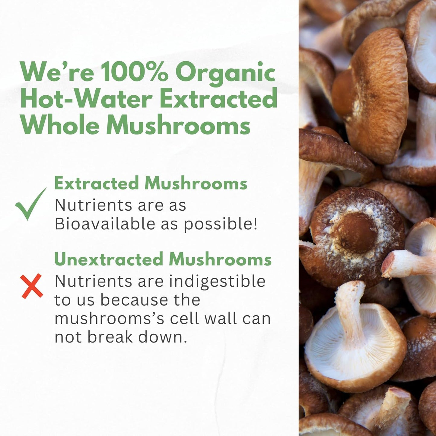 Organic Mushroom Supplement Extracts Capsules - Lions Mane, Cordyceps, Chaga, Reishi, Turkey Tail, Maitake, Shiitake - USA Made - Natural Vitamins, Minerals, Antioxidants