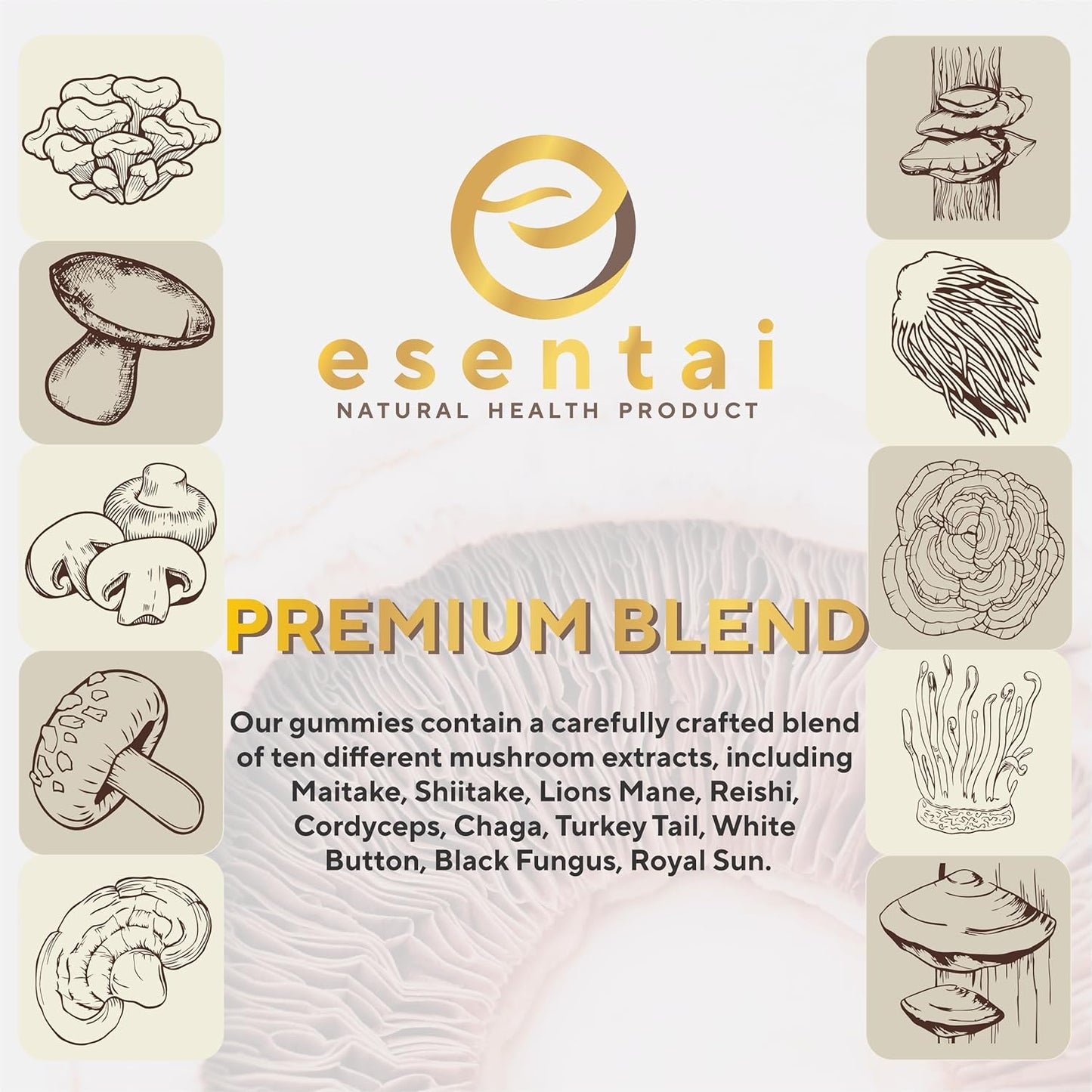 Organic Mushroom Supplement Gummies - Immunity Boost & Energy Support - 10 Mushroom Blend - 60 Gummies - USA Made