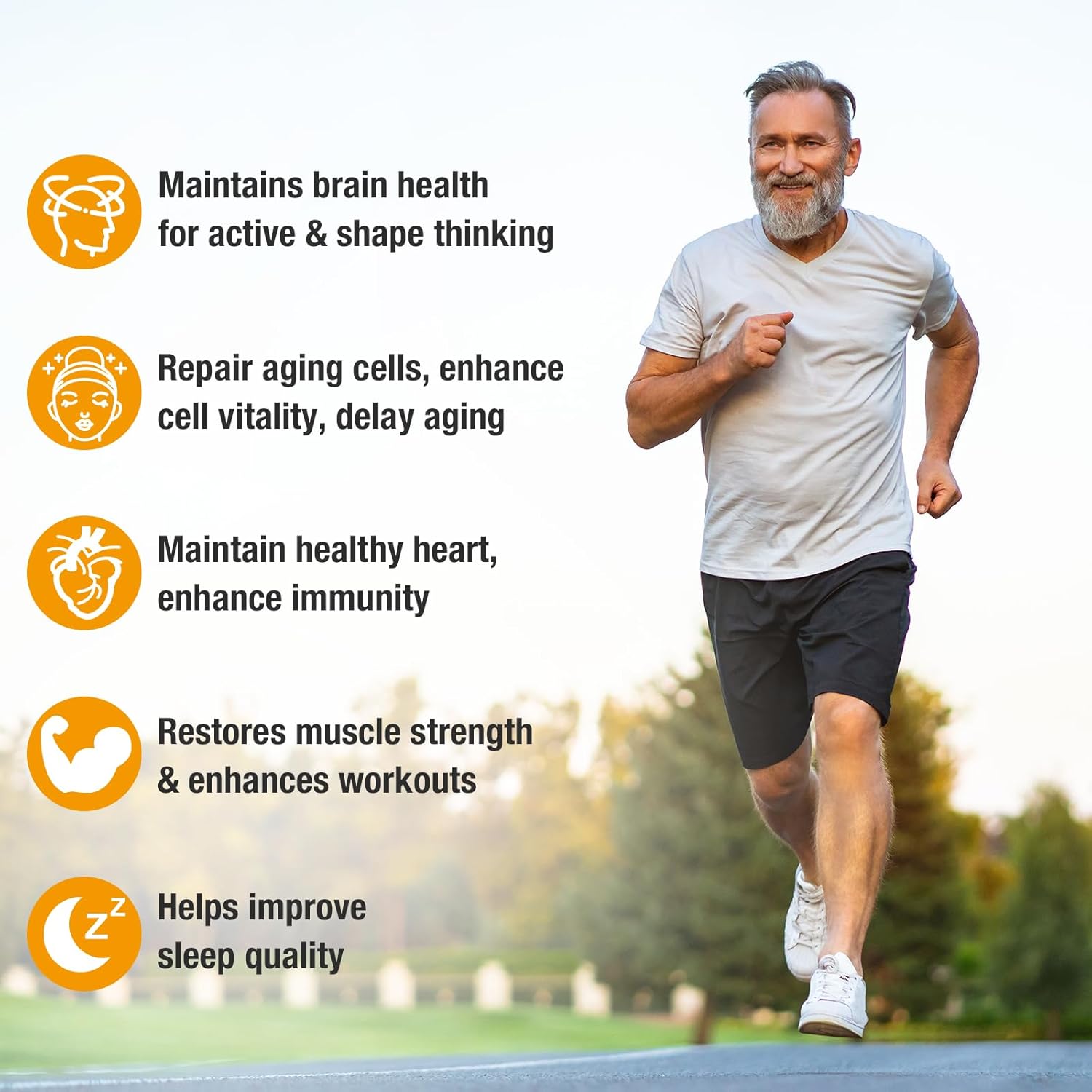 Organic NAD+ Supplement with NR & Resveratrol Quercetin for Healthy Aging - 80 Capsules