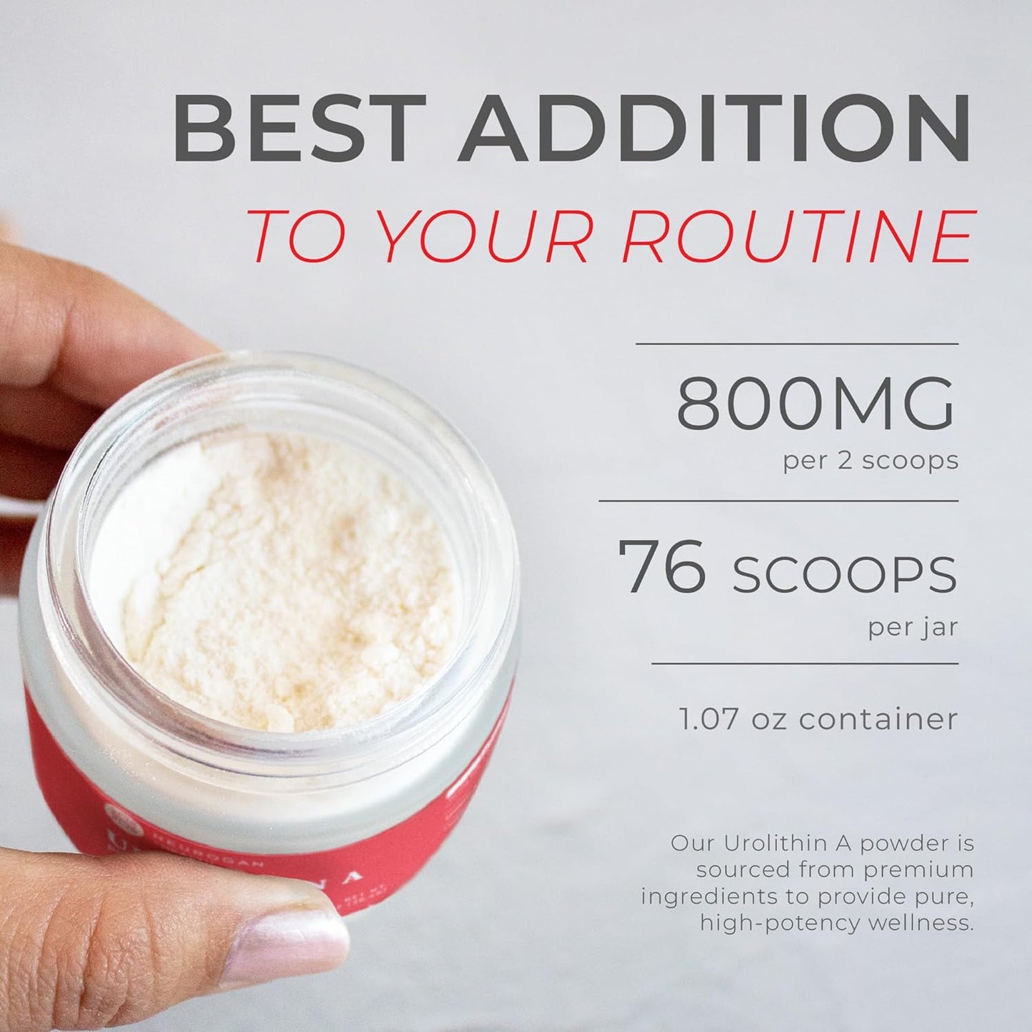 Organic Neurogan Urolithin A Powder for Cellular Health & Energy | Vegan 800 MG Formula | Gluten-Free & Non-GMO | 30.4 G