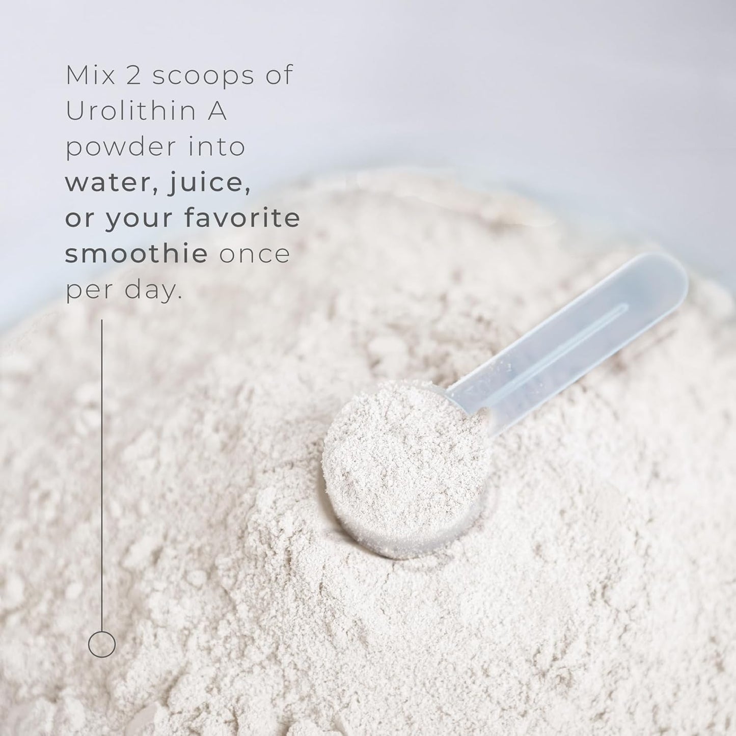 Organic Neurogan Urolithin A Powder for Cellular Health & Energy | Vegan 800 MG Formula | Gluten-Free & Non-GMO | 30.4 G