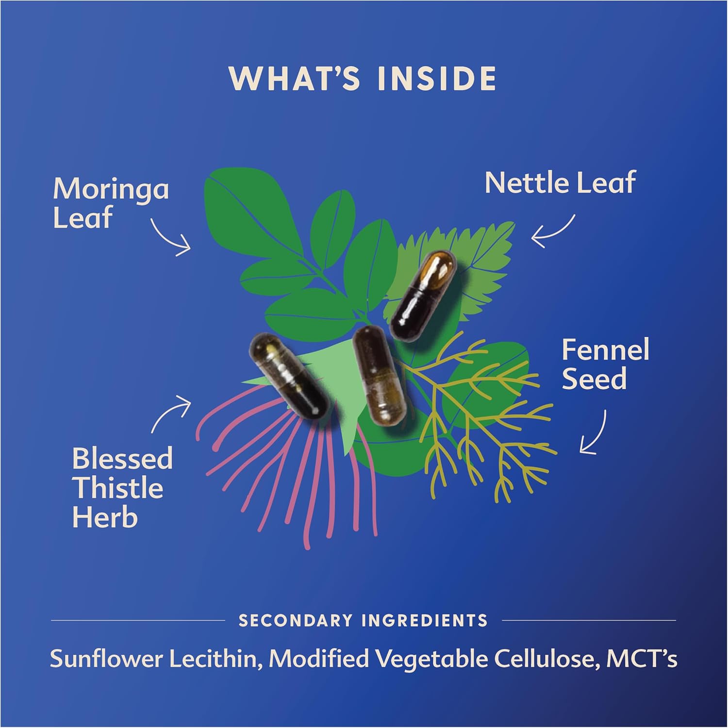 Organic Non-GMO Moringa Lactation Supplement (135 Liquid caps) for Breast Milk Supply - Vegan & Kosher Formula by Motherlove