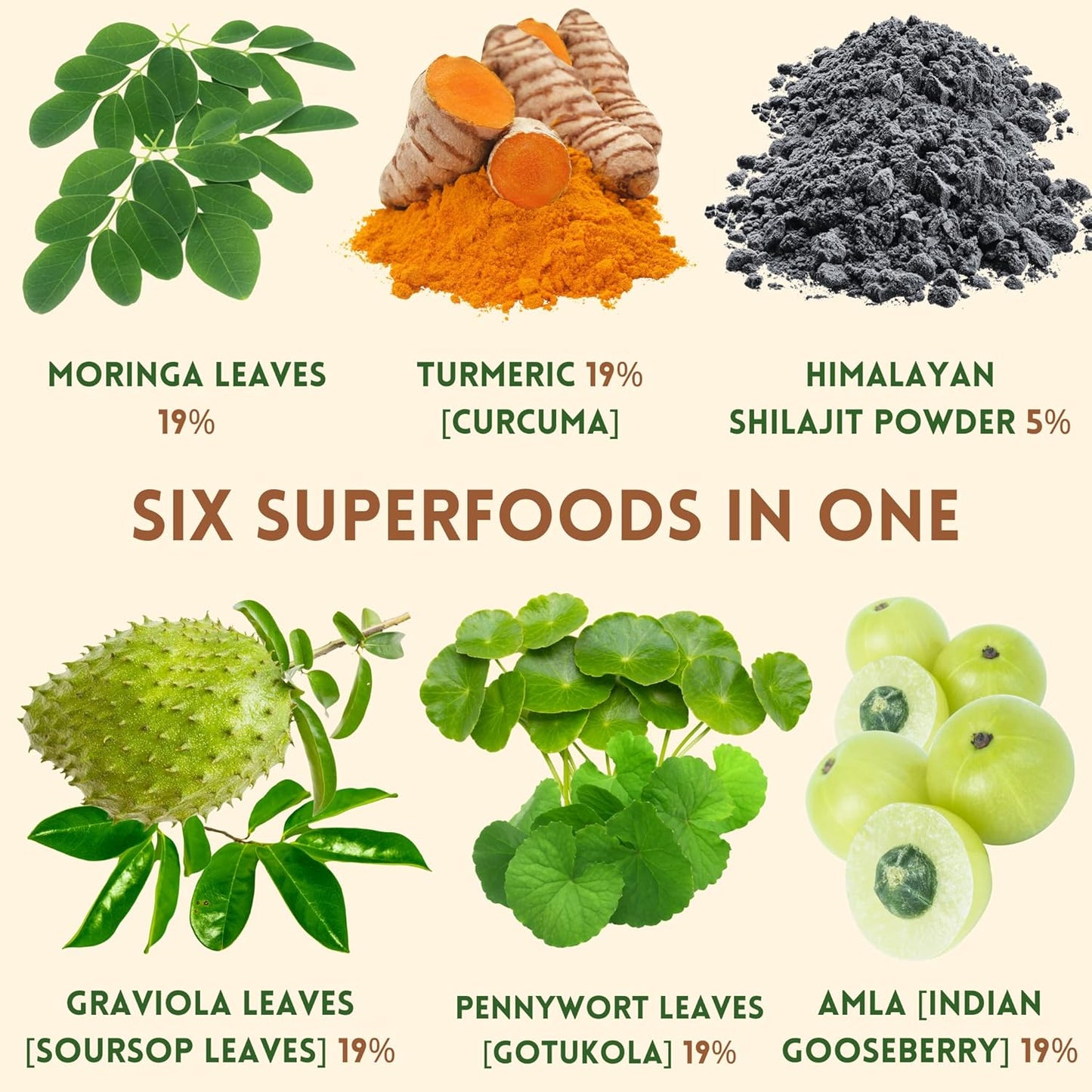 Organic Non-GMO Moringa, Shilajit, Turmeric, Soursop, Gotukola, and Amla Green Juice Blend Powder | 3-Month Supply - Buy Now!