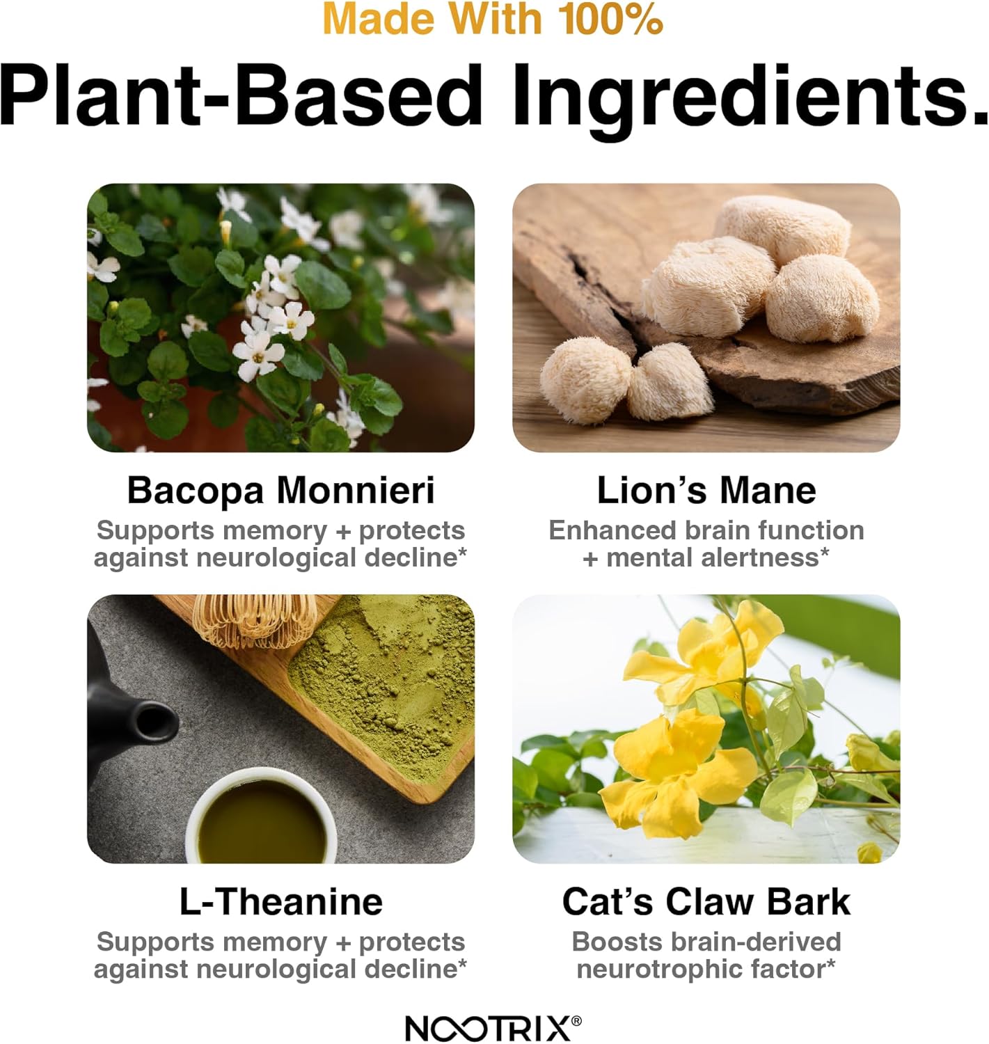 Organic Nootrix Prime Brain Supplement for Memory & Mental Clarity - 30 Capsules - Ginkgo Biloba, Lion's Mane, L Theanine - Boost Cognitive Function & Mood - Men & Women Friendly