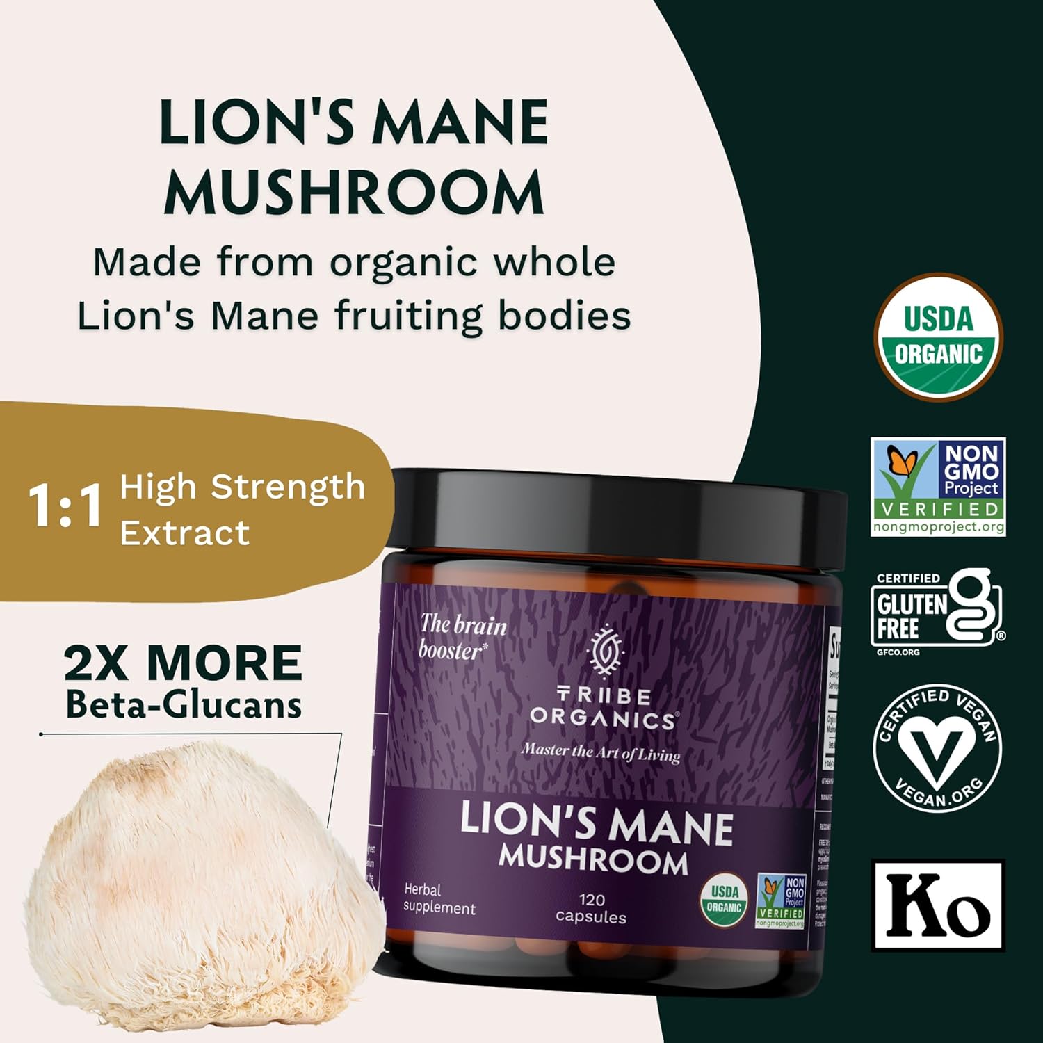 Organic Nootropic Bundle: KSM66 Ashwagandha & Lion's Mane for Focus and Mind Health