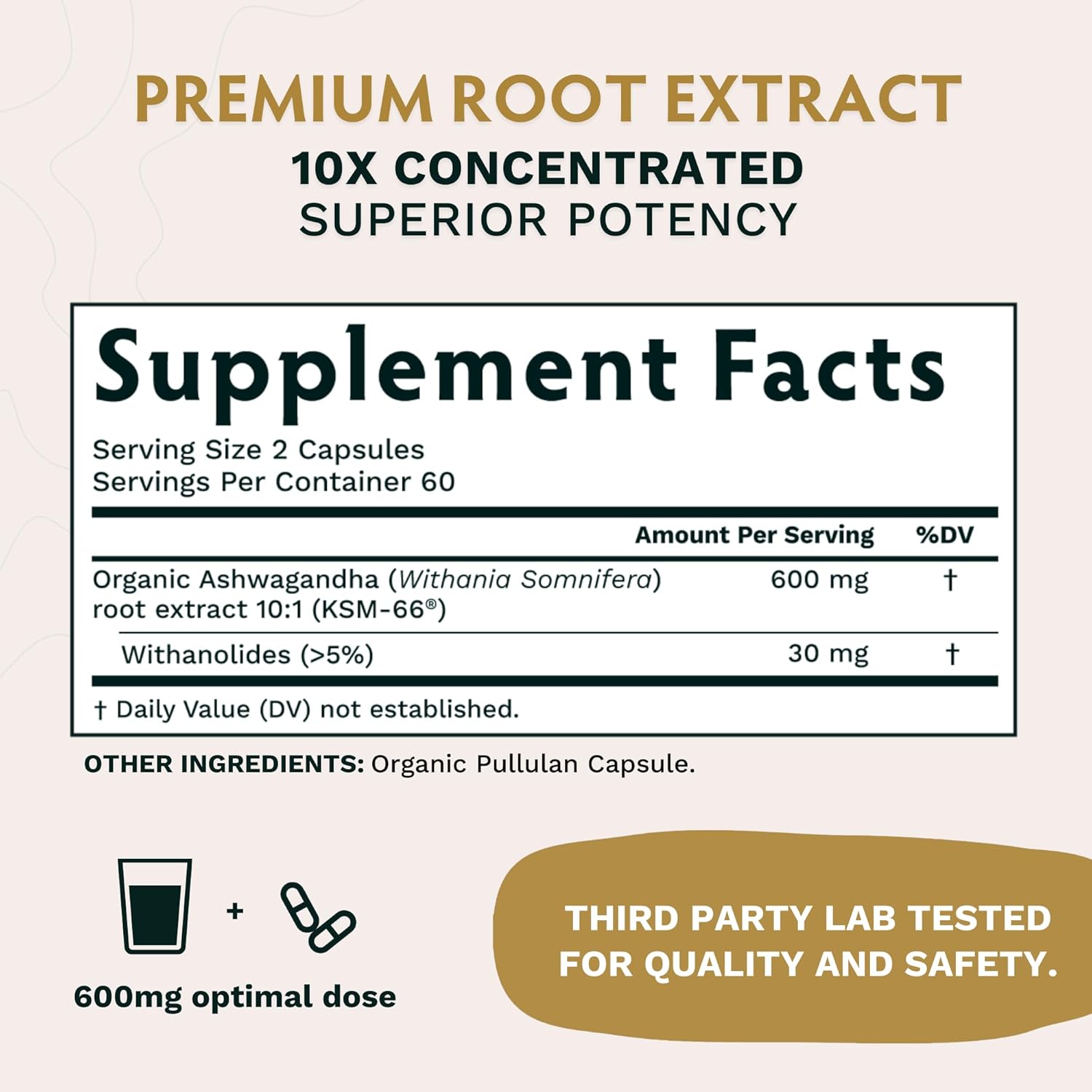 Organic Nootropic Bundle: KSM66 Ashwagandha & Lion's Mane for Focus and Mind Health