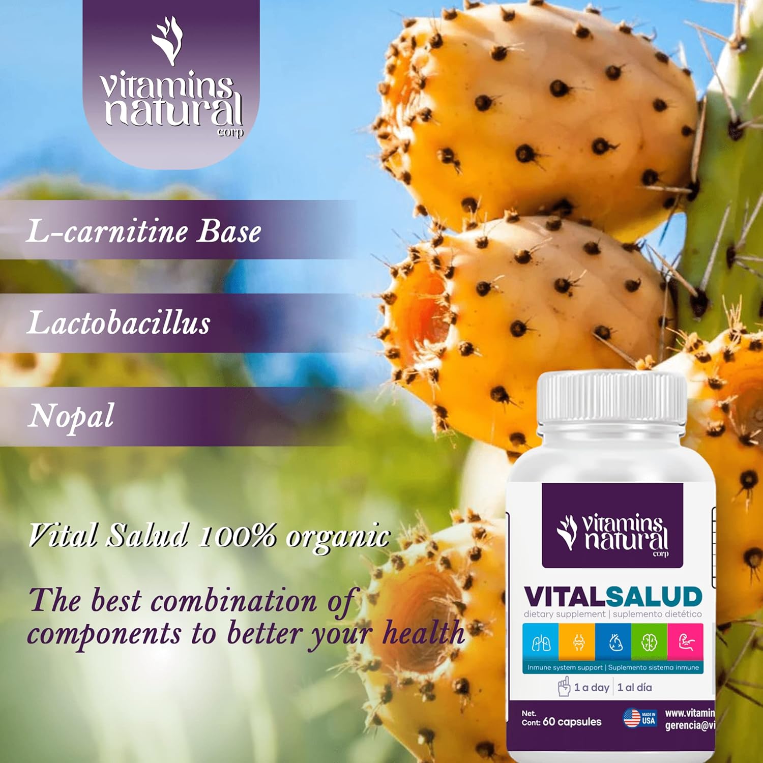 Organic Nopal and L-Carnitine Supplement for Immune Support and Varicose Vein Relief