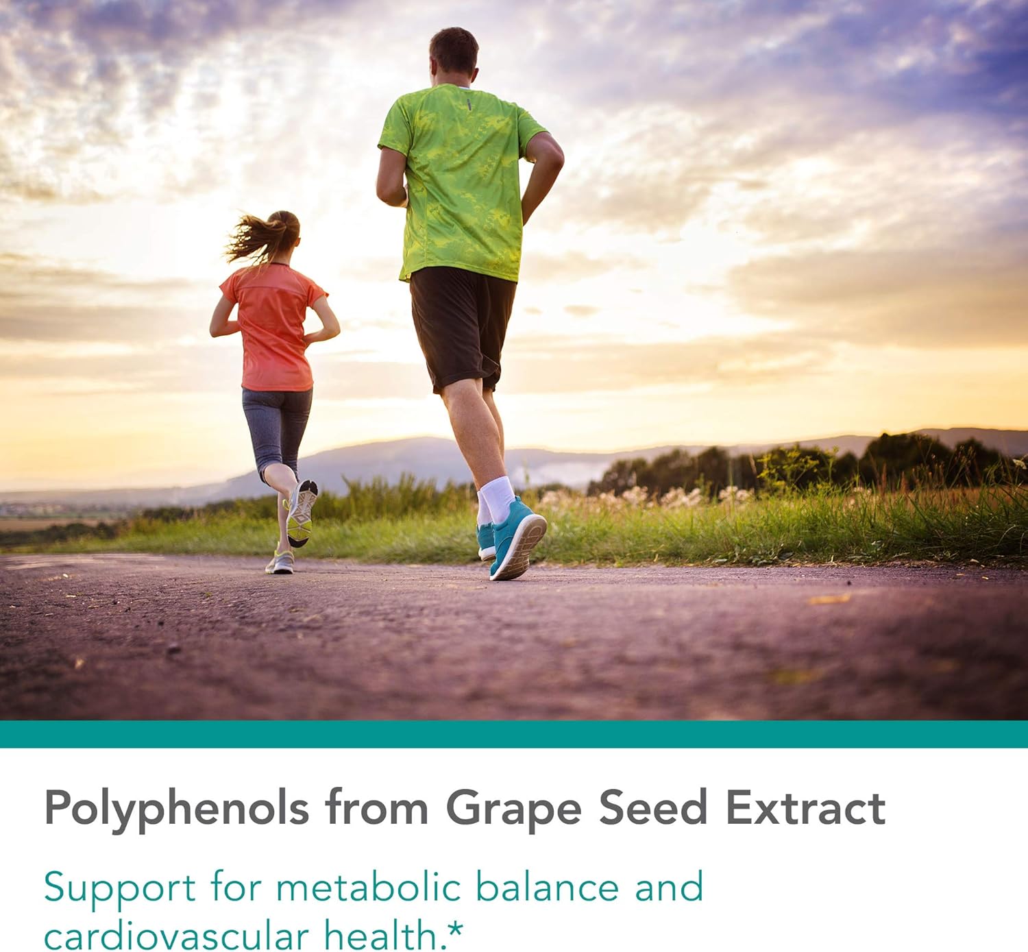 Organic Nutricology Grape Pips Extract Capsules - 300mg Proanthocyanidins & Polyphenols - 90 Count Herbal Supplement