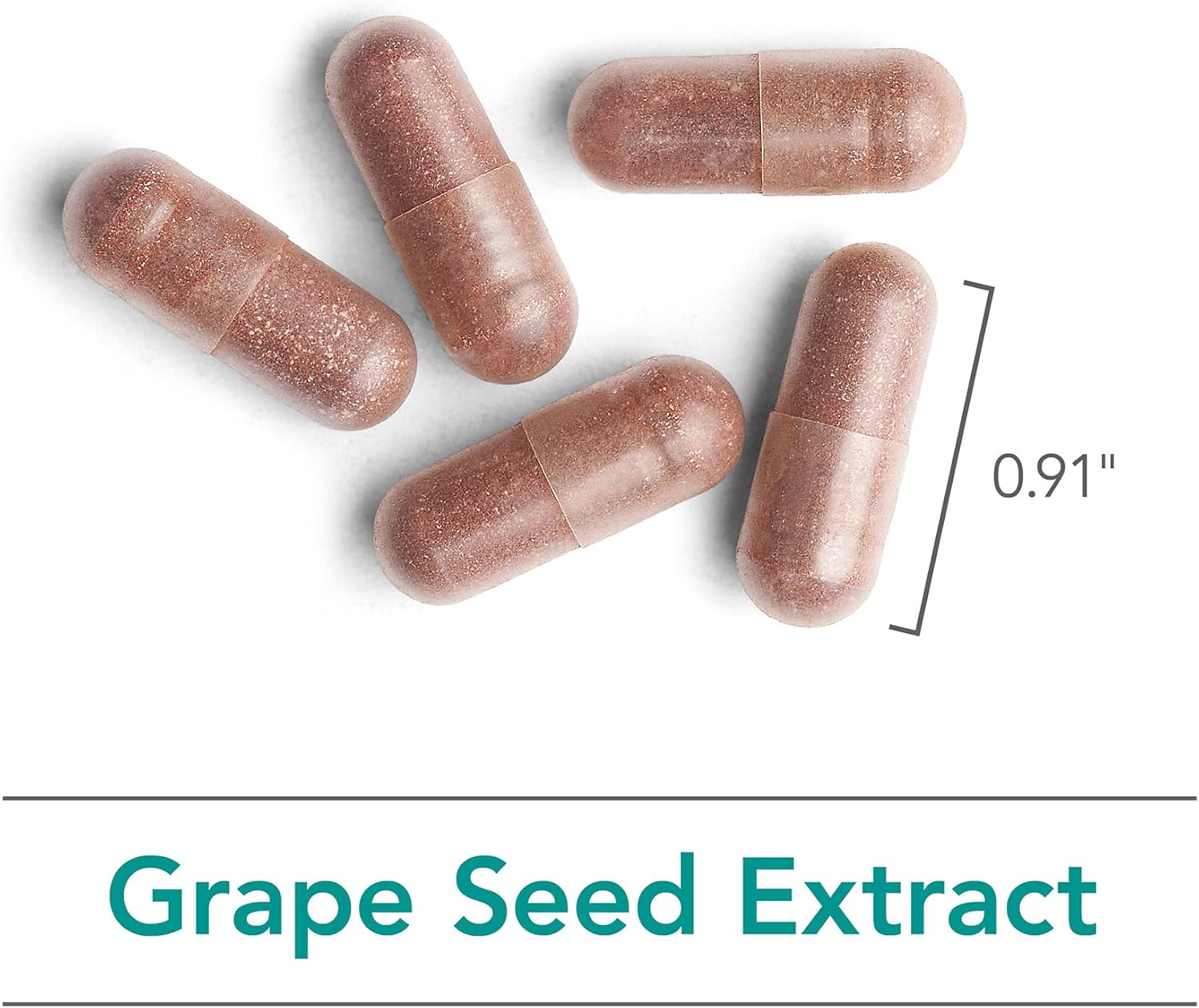 Organic Nutricology Grape Pips Extract Capsules - 300mg Proanthocyanidins & Polyphenols - 90 Count Herbal Supplement