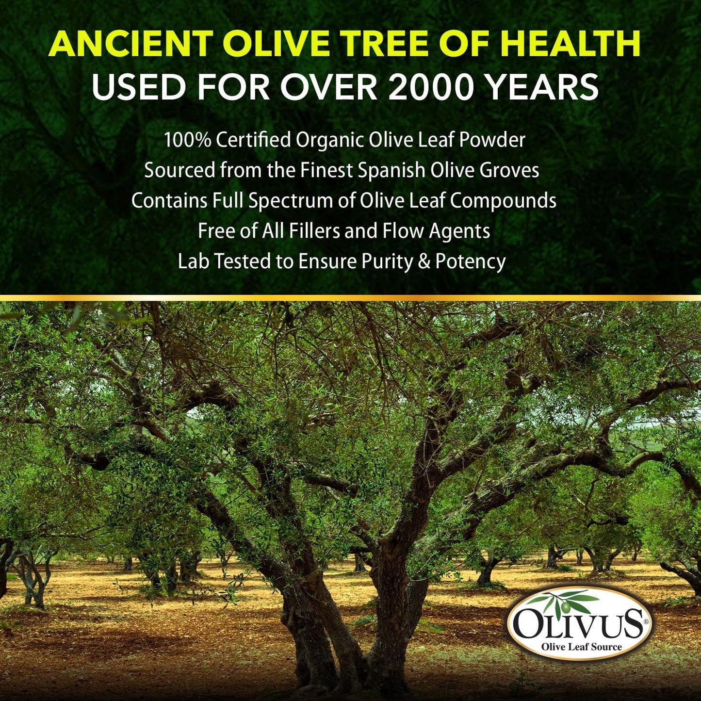Organic Olive Leaf Capsules - 550mg Pure Powder, Immune Support & Antioxidant - 100 Vegetable Capsules