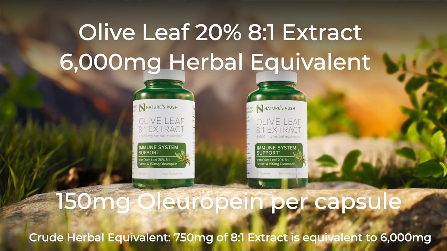 Organic Olive Leaf Extract Capsules - High-Potency 8:1 Extract with 20% Oleuropein for Immune, Skin, & Heart Health - Antioxidant Rich, Vegan, Non-GMO, Gluten-Free - 60 Capsules, 2 Month Supply