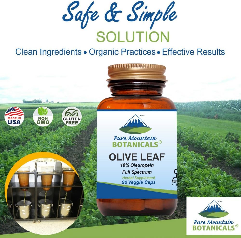 Organic Olive Leaf Extract Capsules - Vegan Kosher Supplement with 400mg Potent Extract - Pure Mountain Botanicals