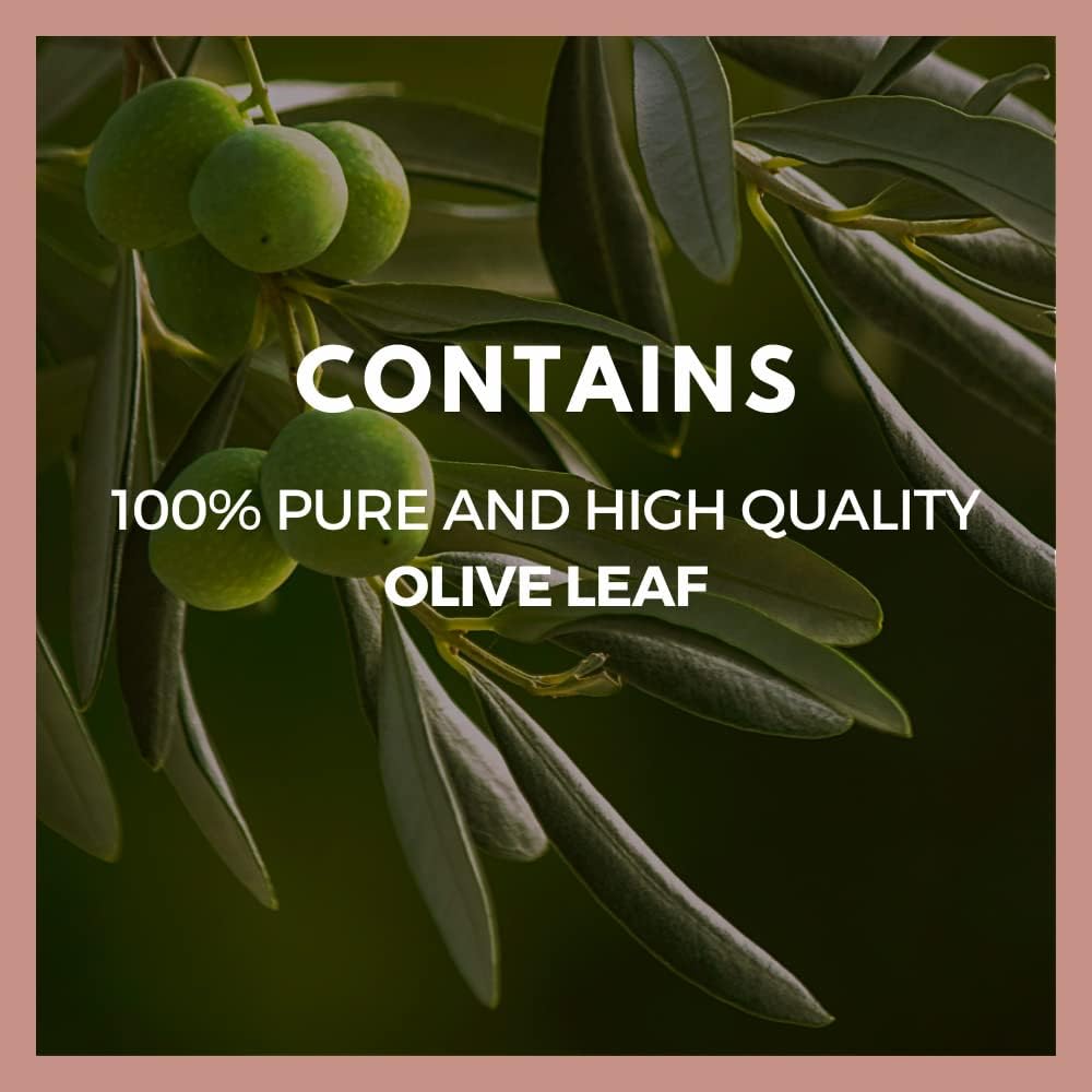 Organic Olive Leaf Extract Capsules | 1,000mg, 60 Vegan Pills | Herbal Dietary Supplement | Two Month Supply | Non-GMO, Gluten/Dairy Free