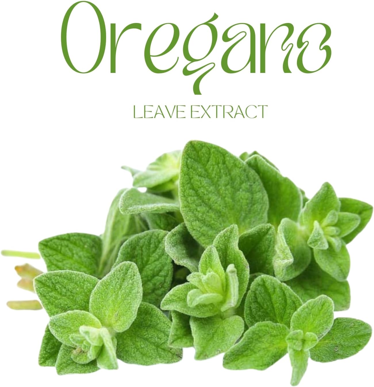 Organic Oregano Oil Capsules for Candida Support and Gut Health - Natural Detox Probiotic Supplement - 60 Capsules