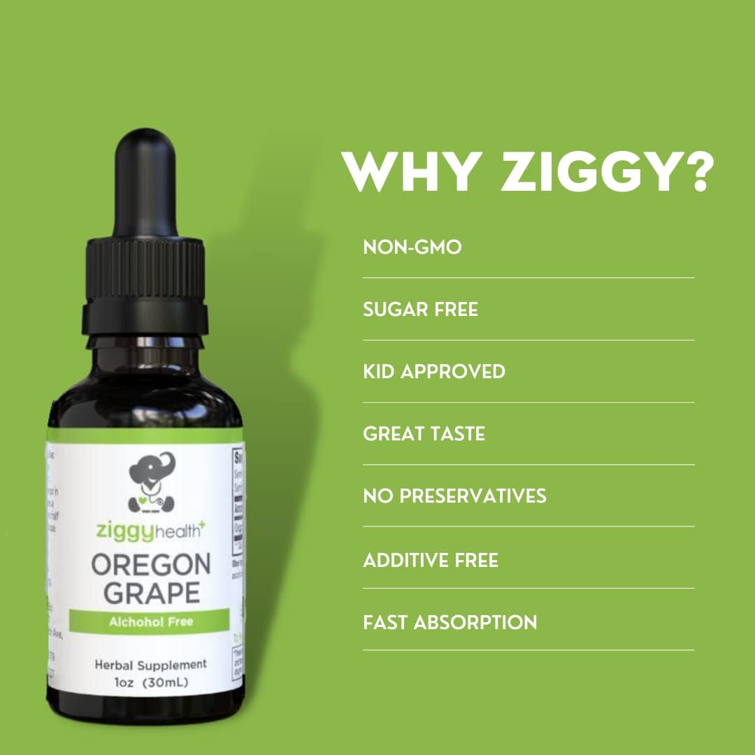Organic Oregon Grape Root Herbal Tincture - Alcohol-Free Extract for Immune Support - 1oz by Ziggy Baby Health