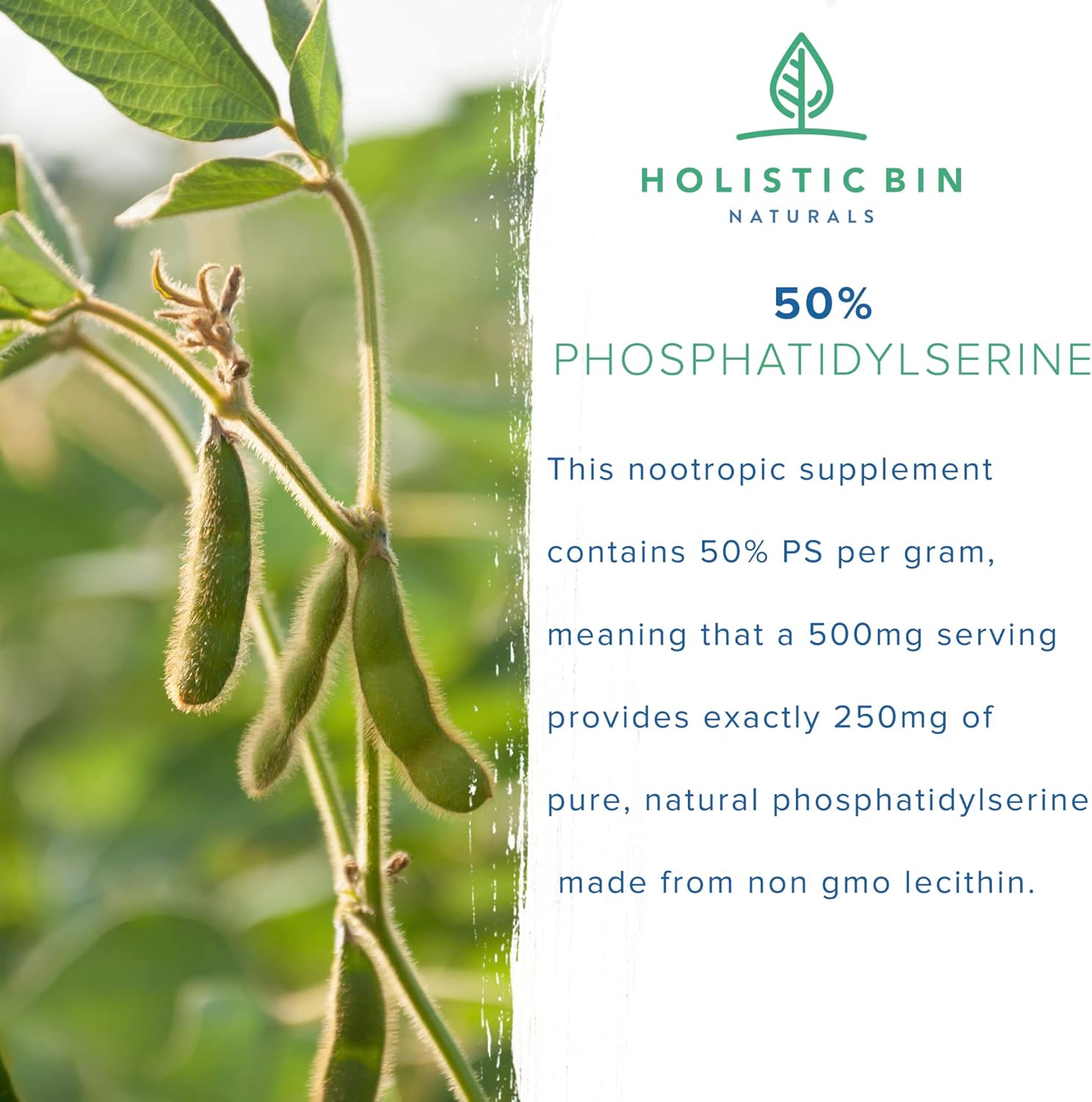 Organic Phosphatidylserine Powder for Memory & Focus | Non GMO Soy Lecithin Extract | Nootropic Brain Support Supplement