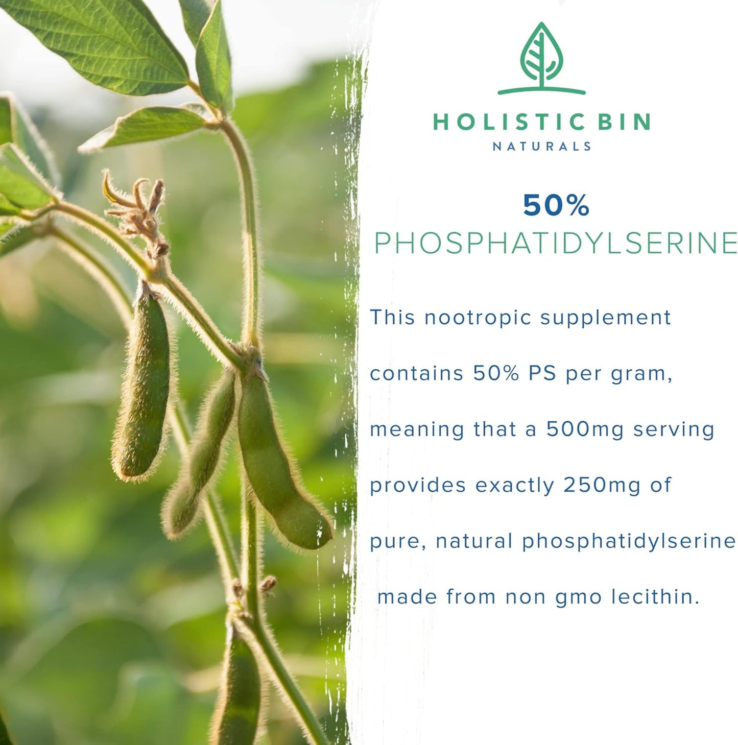 Organic Phosphatidylserine Powder for Memory & Focus | Non GMO Soy Lecithin Extract | Nootropic Brain Support Supplement