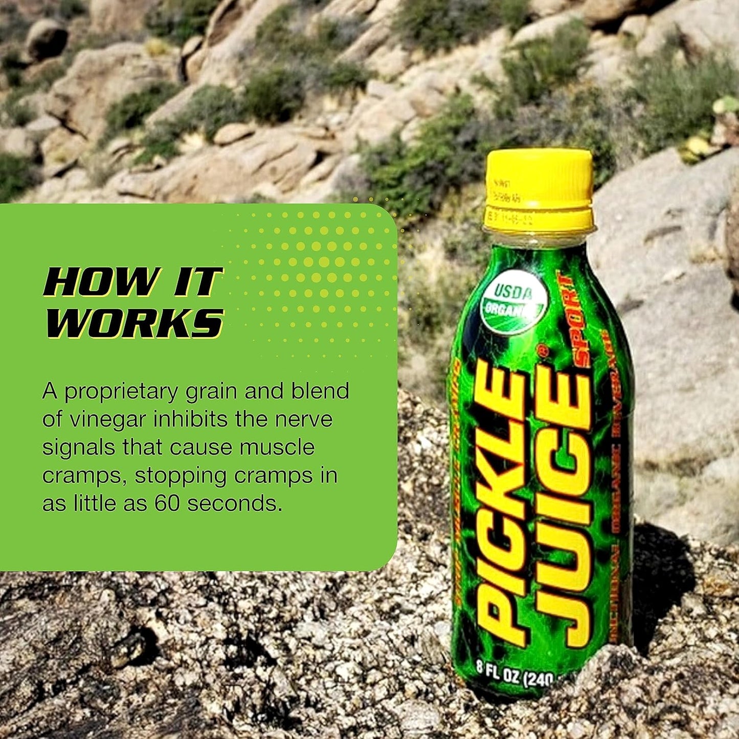 Organic Pickle Juice Sports Drink for Immediate Leg Cramp Relief - Electrolyte-Rich Formula with No Artificial Ingredients - 8 oz, 24 Pack