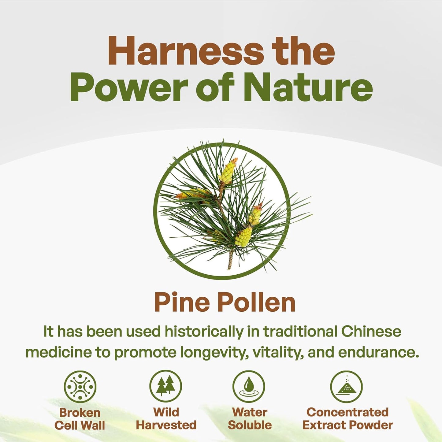 Organic Pine Pollen Powder - Pure 10:1 Extract from Masson Pine Trees, Non-GMO Vegan Superfood Supplement for Tea, Coffee, Smoothies - 8 oz