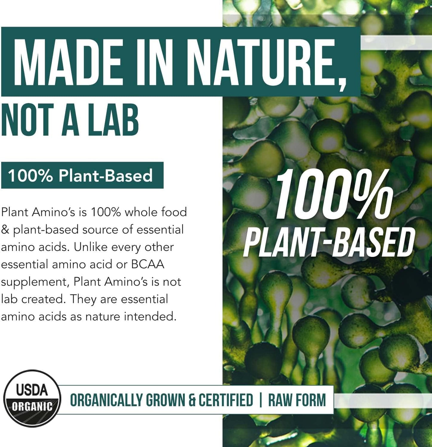 Organic Plant Aminos: Essential & Branched-Chain Amino Acids (EAAs & BCAAs) - 100% Vegan, Raw, All 9 Amino Acids - 360 Tablets