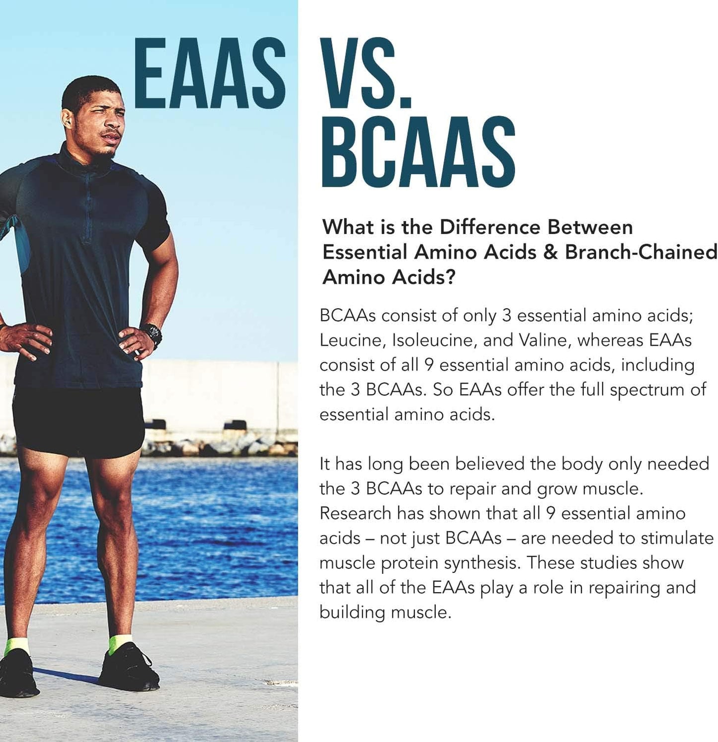 Organic Plant Aminos: Essential & Branched-Chain Amino Acids (EAAs & BCAAs) - 100% Vegan, Raw, All 9 Amino Acids - 360 Tablets