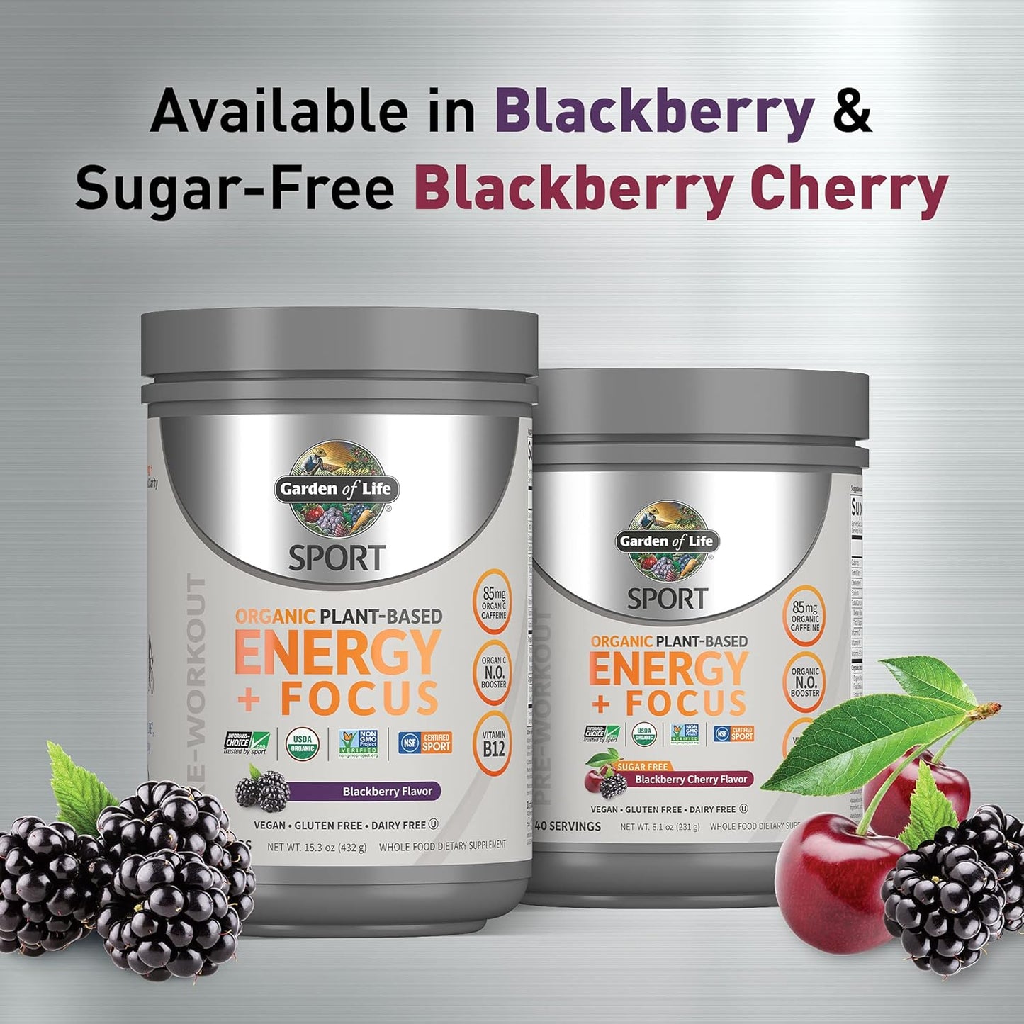 Organic Plant Based Energy + Focus Pre Workout Powder - Garden of Life Sport, 85mg Caffeine, B12, Vegan, Gluten Free, Non-GMO - Blackberry Flavor, 15.3 Oz