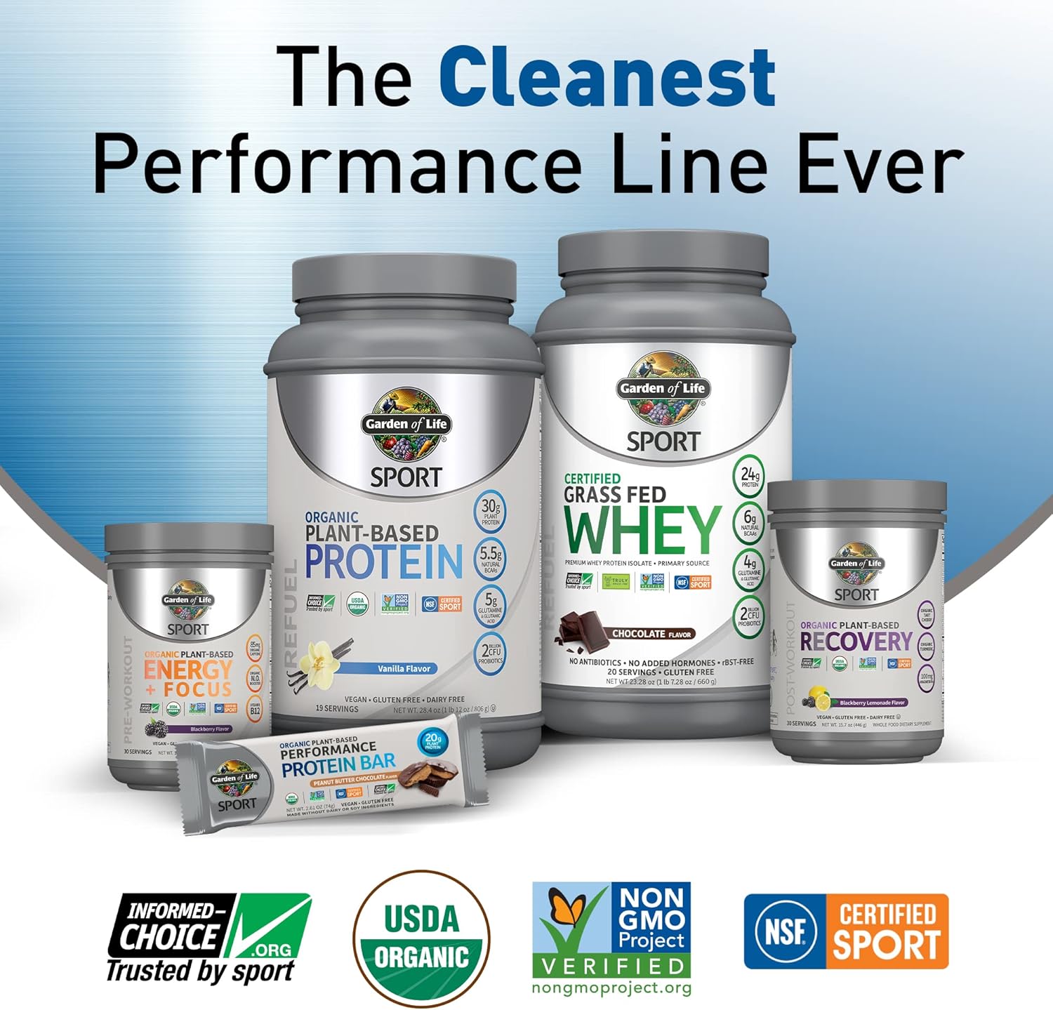 Organic Plant Based Energy + Focus Pre Workout Powder - Garden of Life Sport, 85mg Caffeine, B12, Vegan, Gluten Free, Non-GMO - Blackberry Flavor, 15.3 Oz